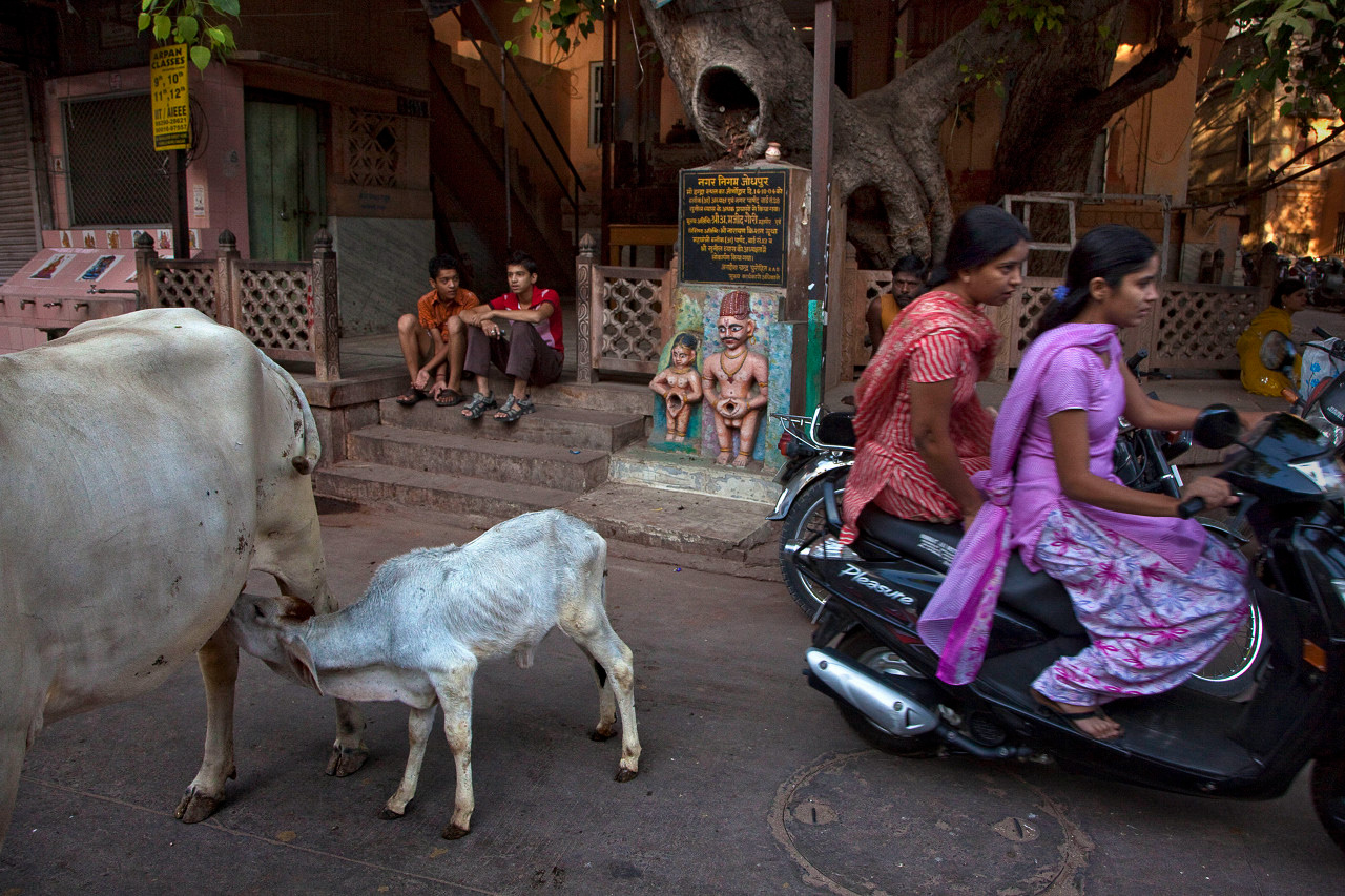 Jodhpur
