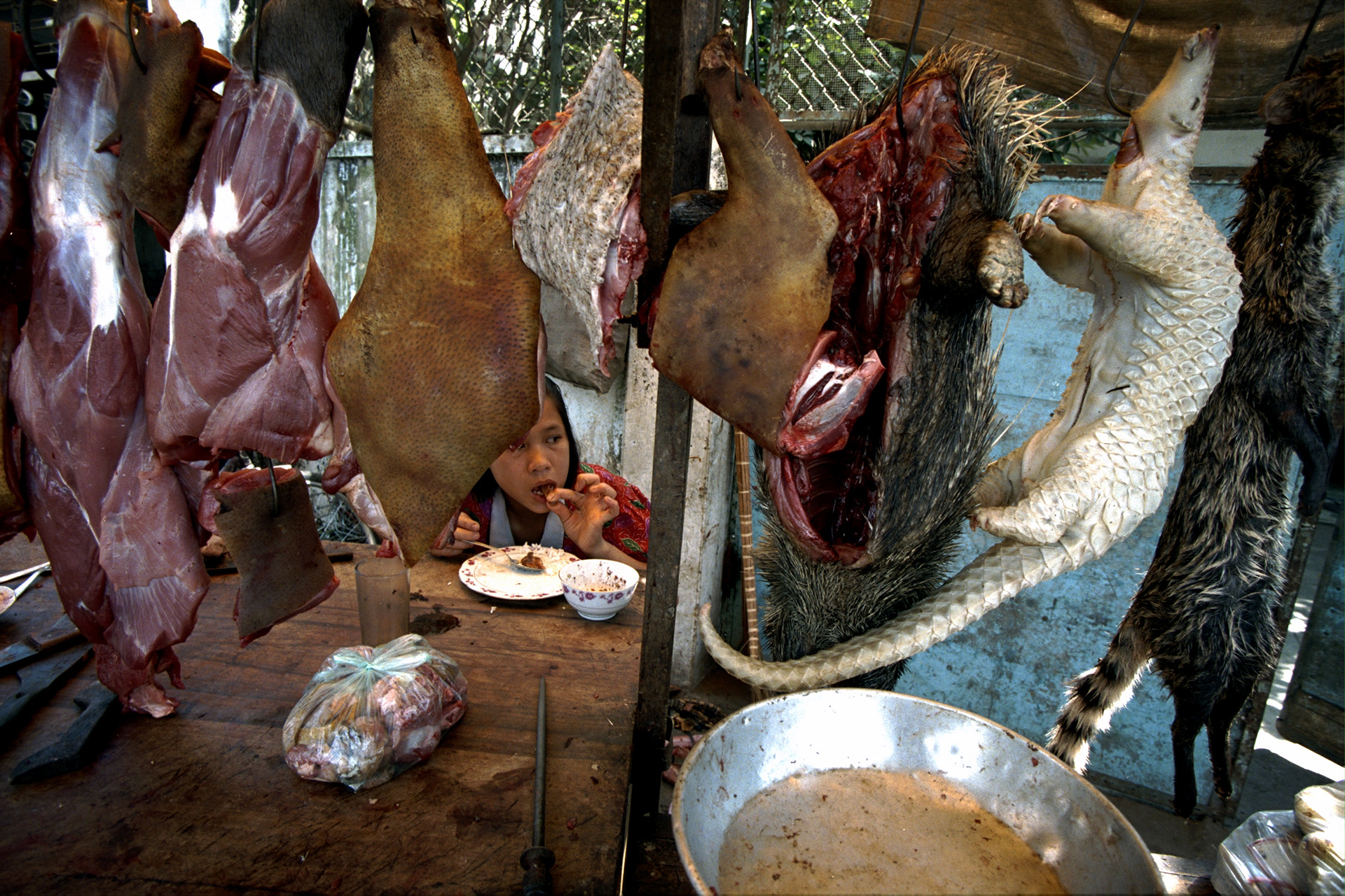 Bush meat stand, Vietnam, 1999