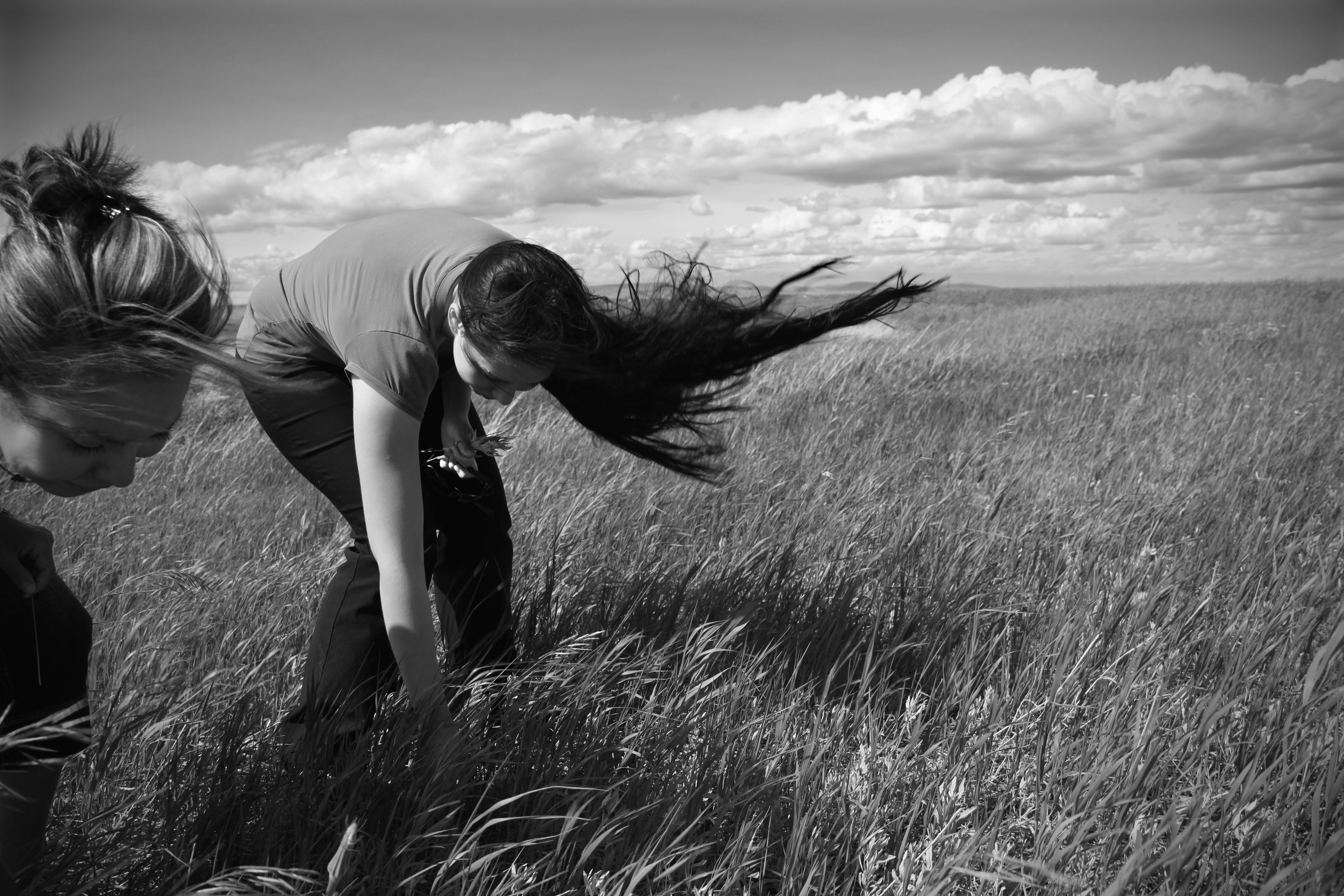 Indigenous nursing program, Lethbridge Alberta