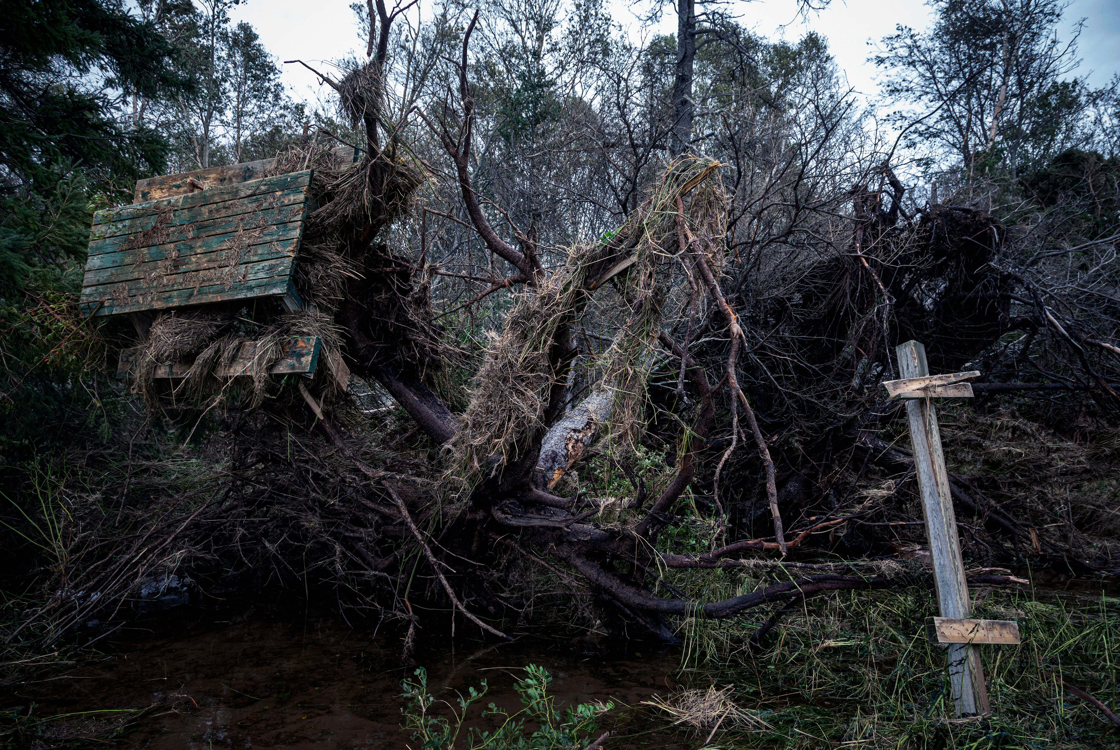 After tropical storm Fiona, Shediac, New Brunswick, 09/22