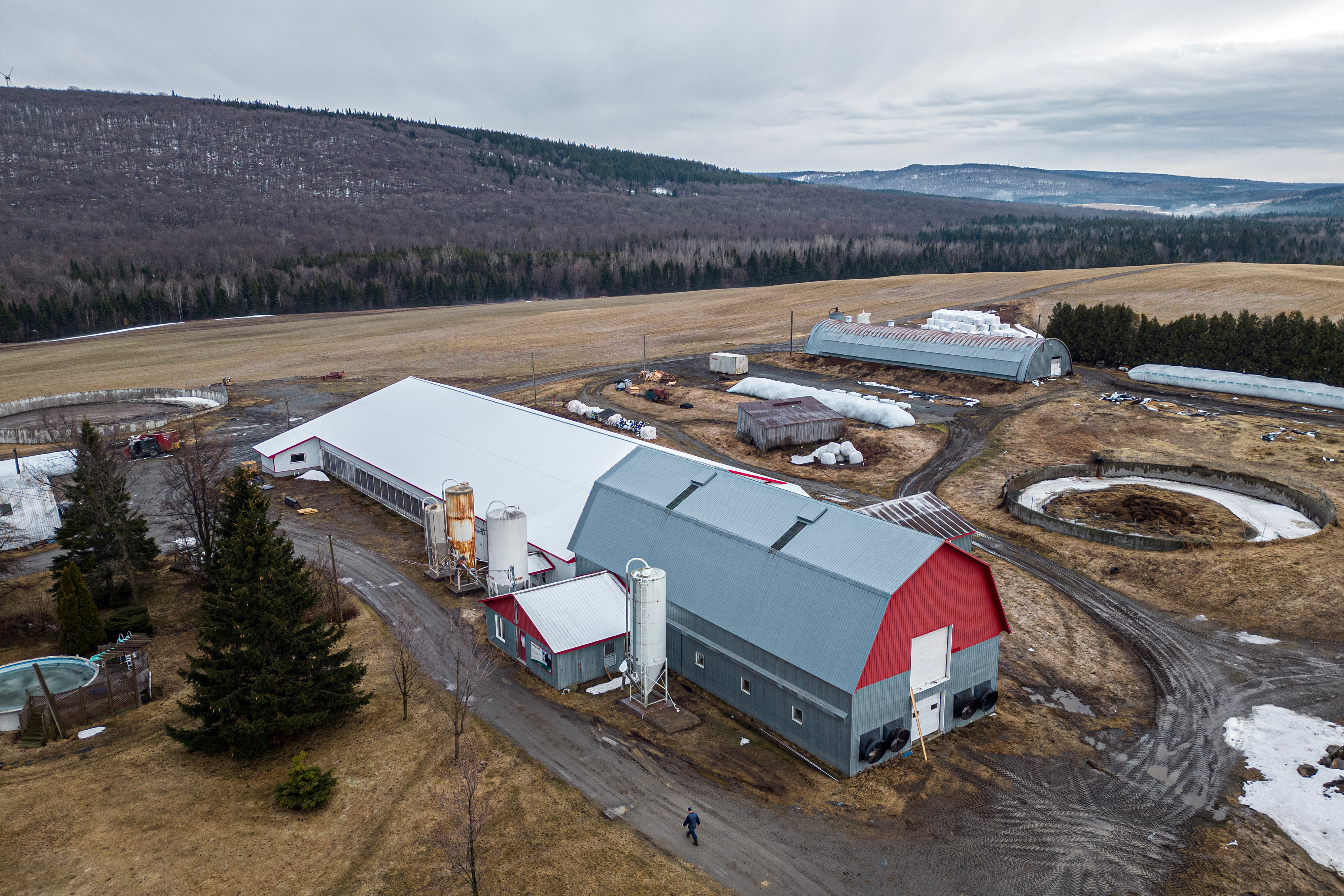 Farming and Forestry are among the most important products