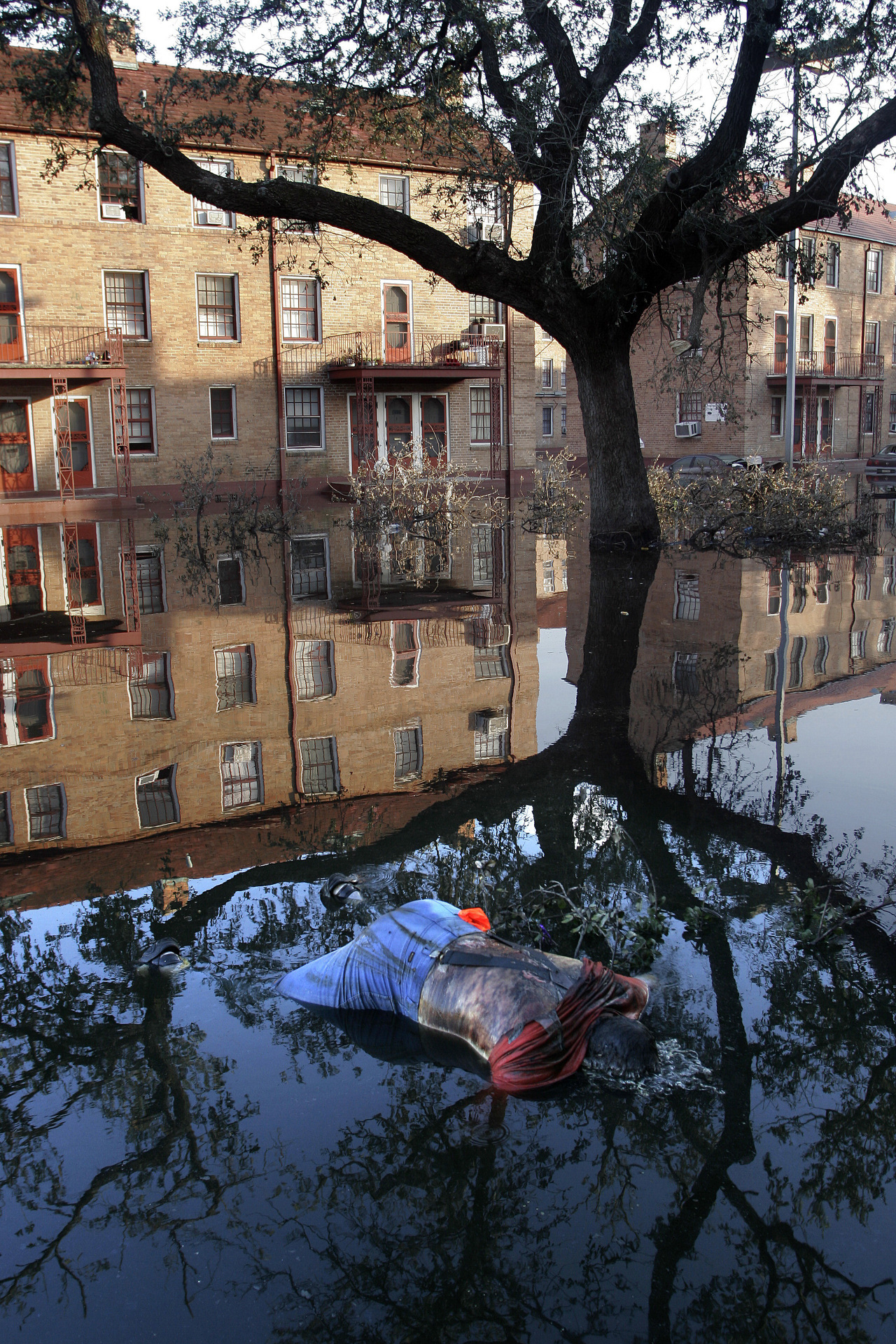 New Orleans, Lower 9th, a few days after hurricane Katrina devastated the city. September 2005
