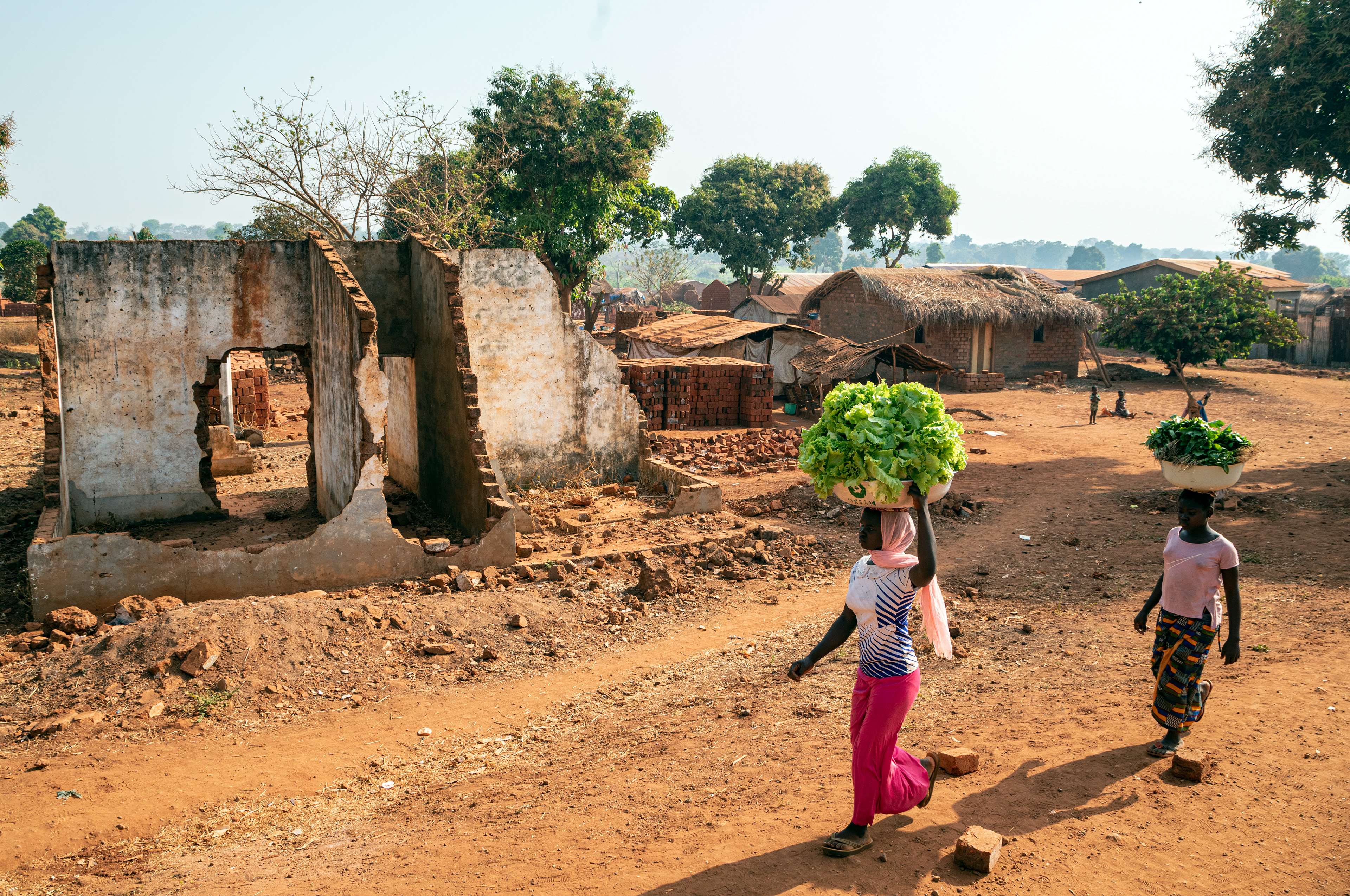 Homes destroyed in the conflict, Bria