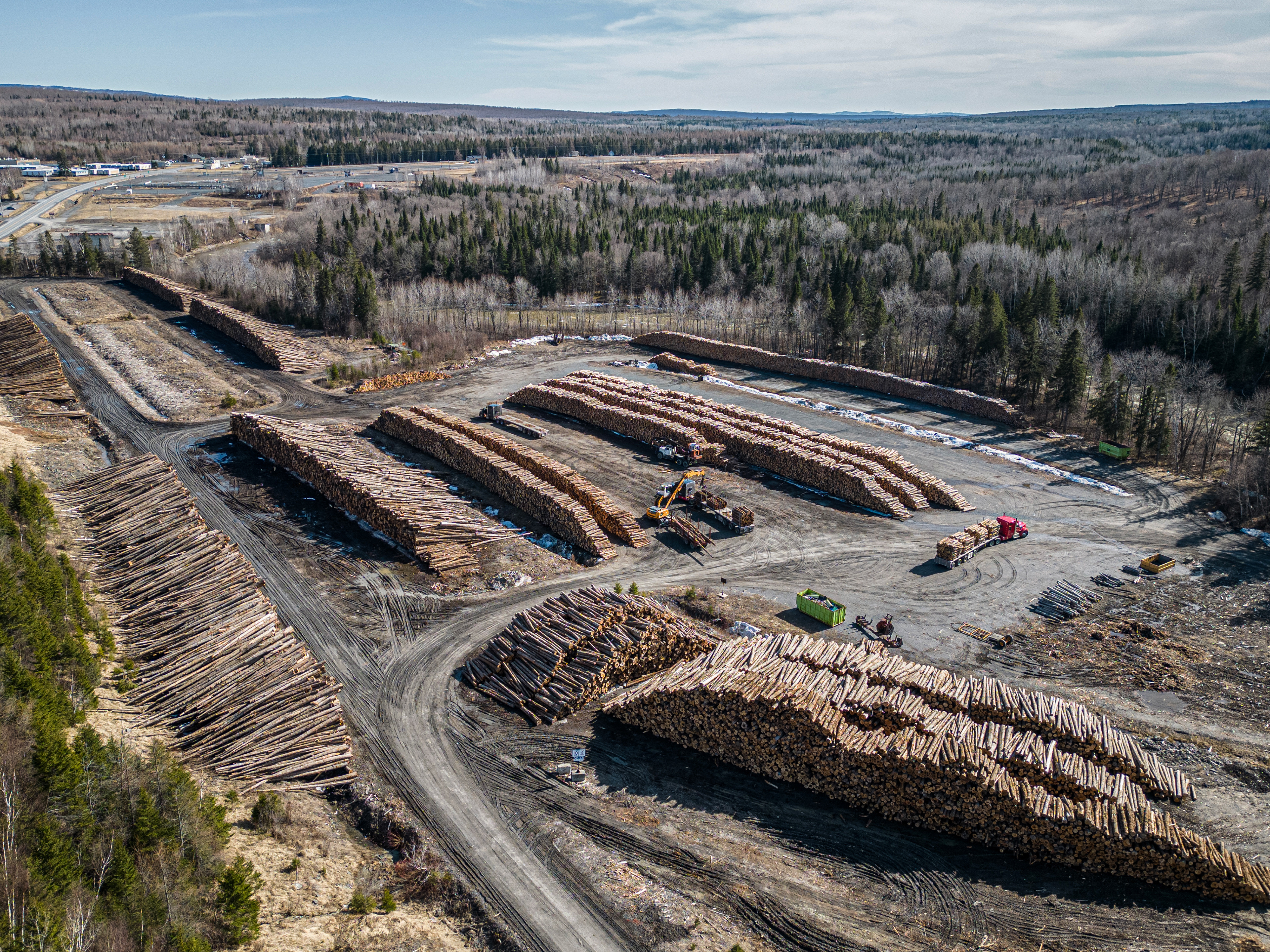 Farming and Forestry are among the most important products