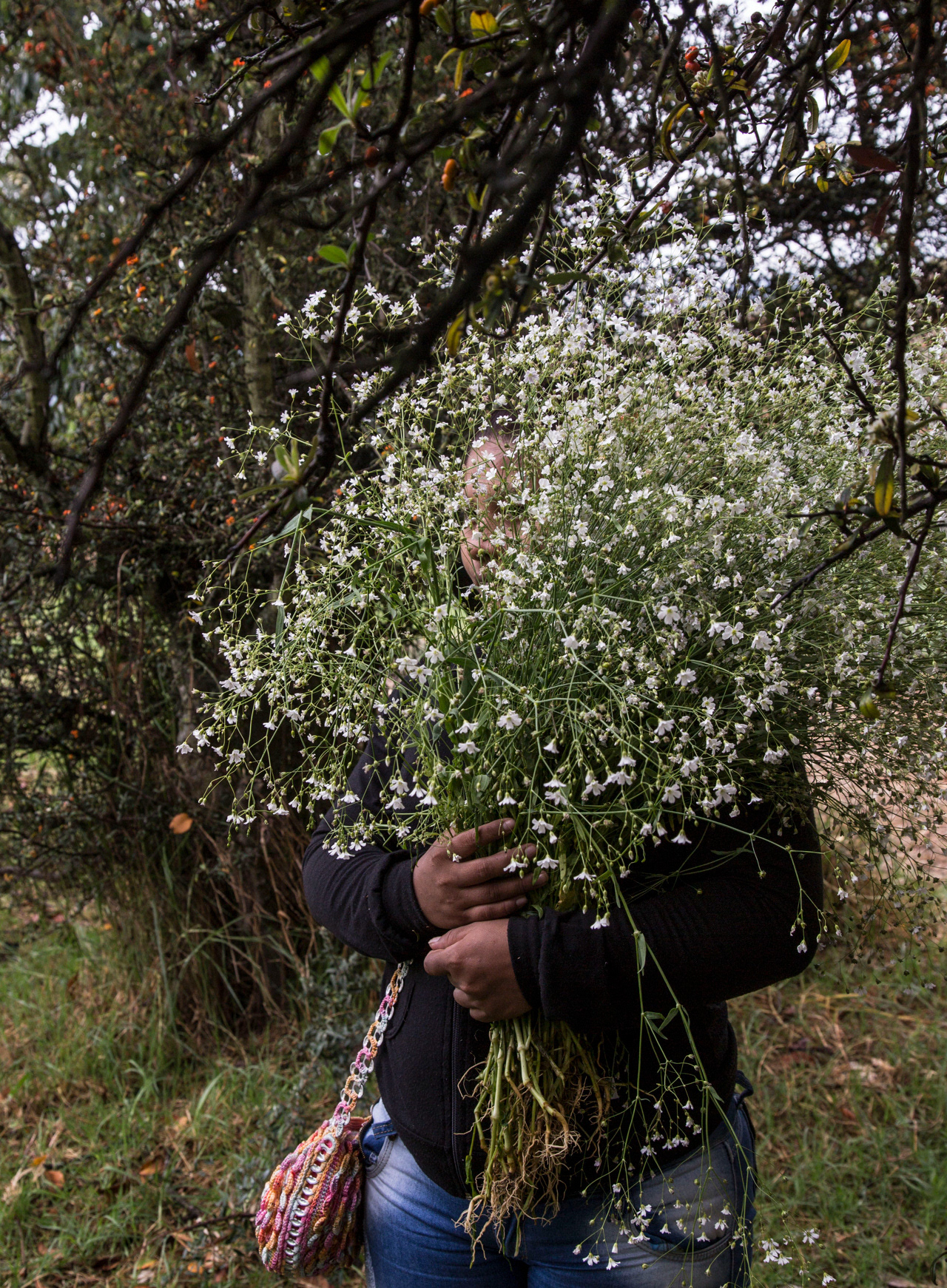 Demobilized from the FARC