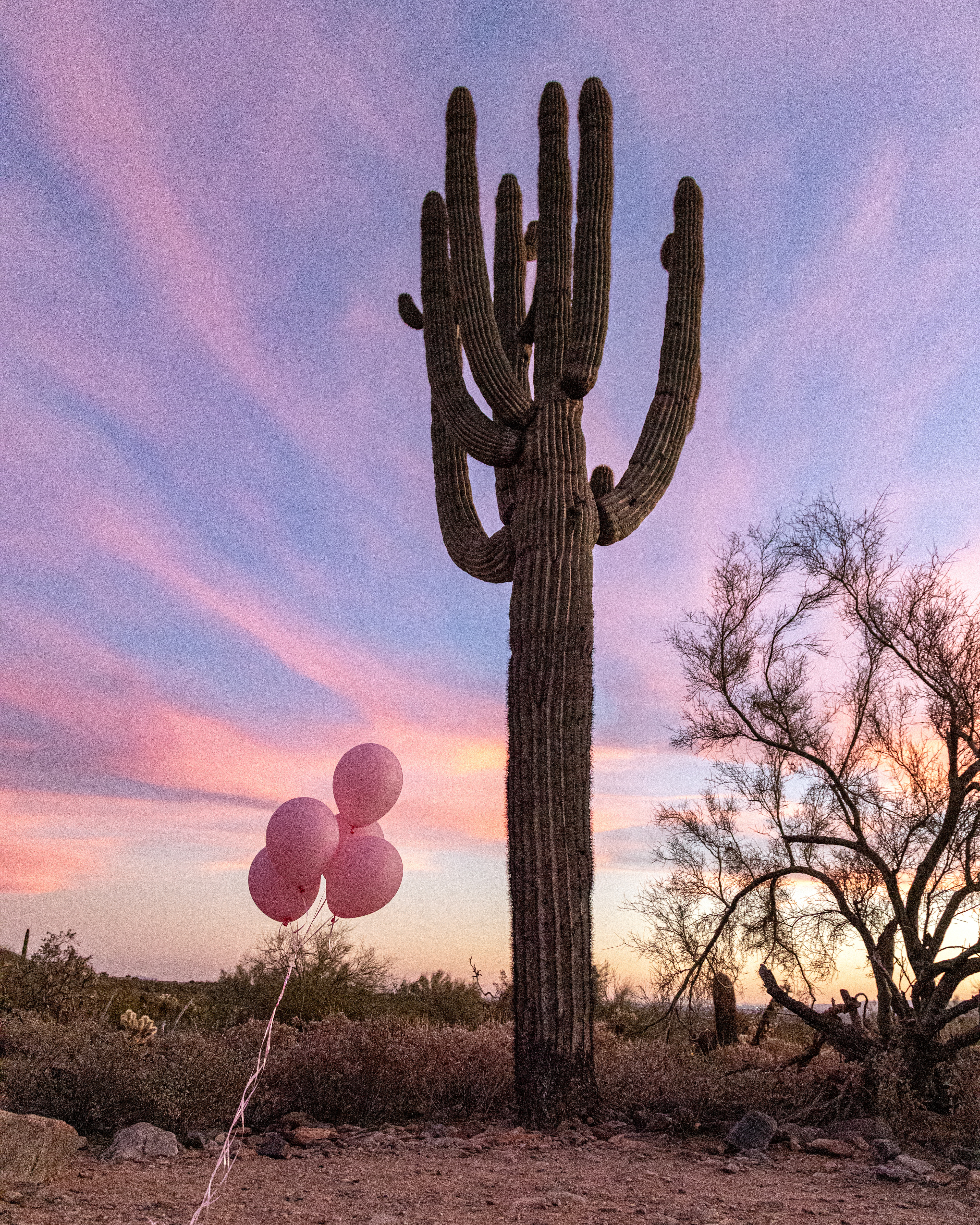 Arizona, USA