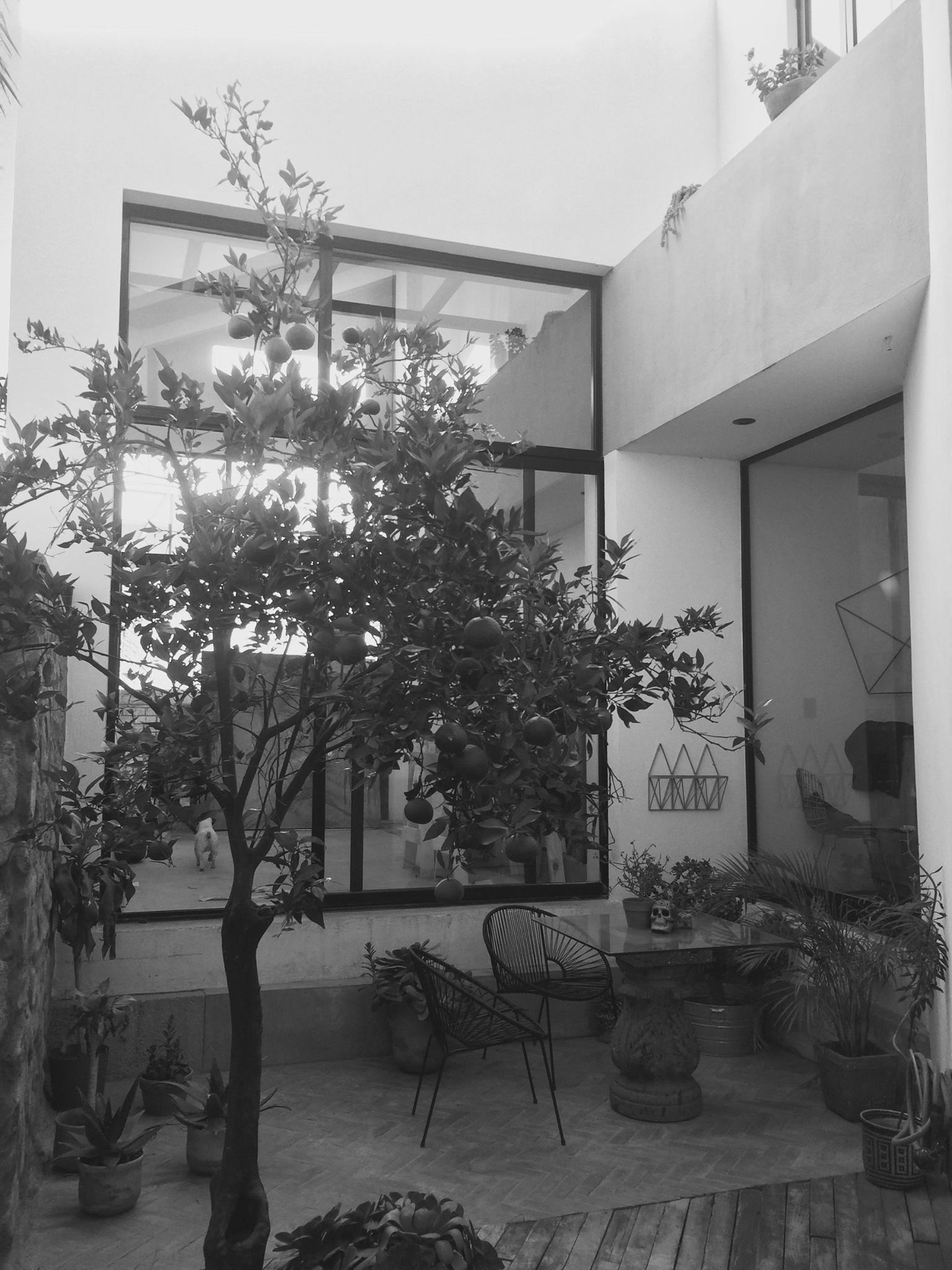 Patio - ArteTraffico©