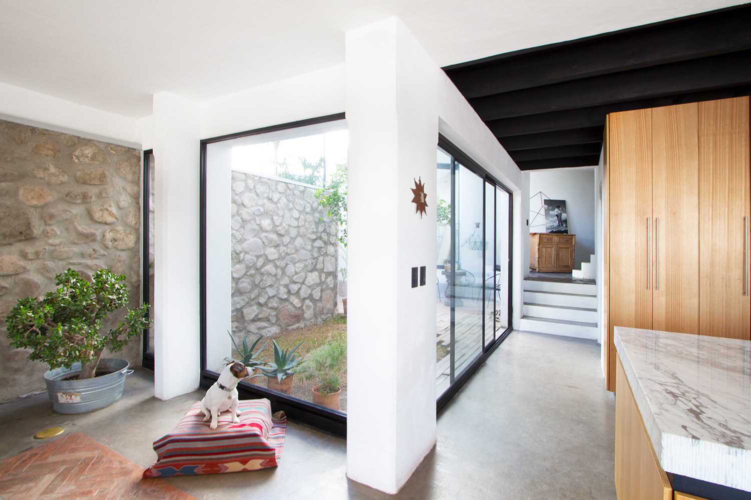 Interior - ArteTraffico©