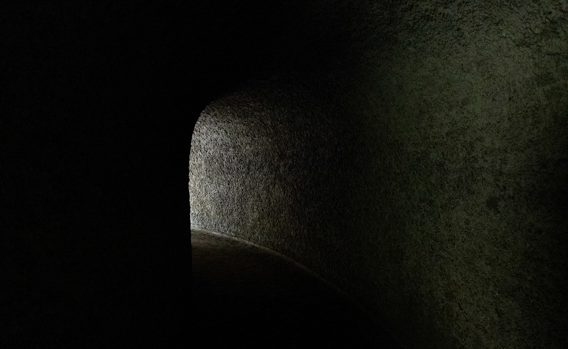 Tunnel, Zeist, July 2024