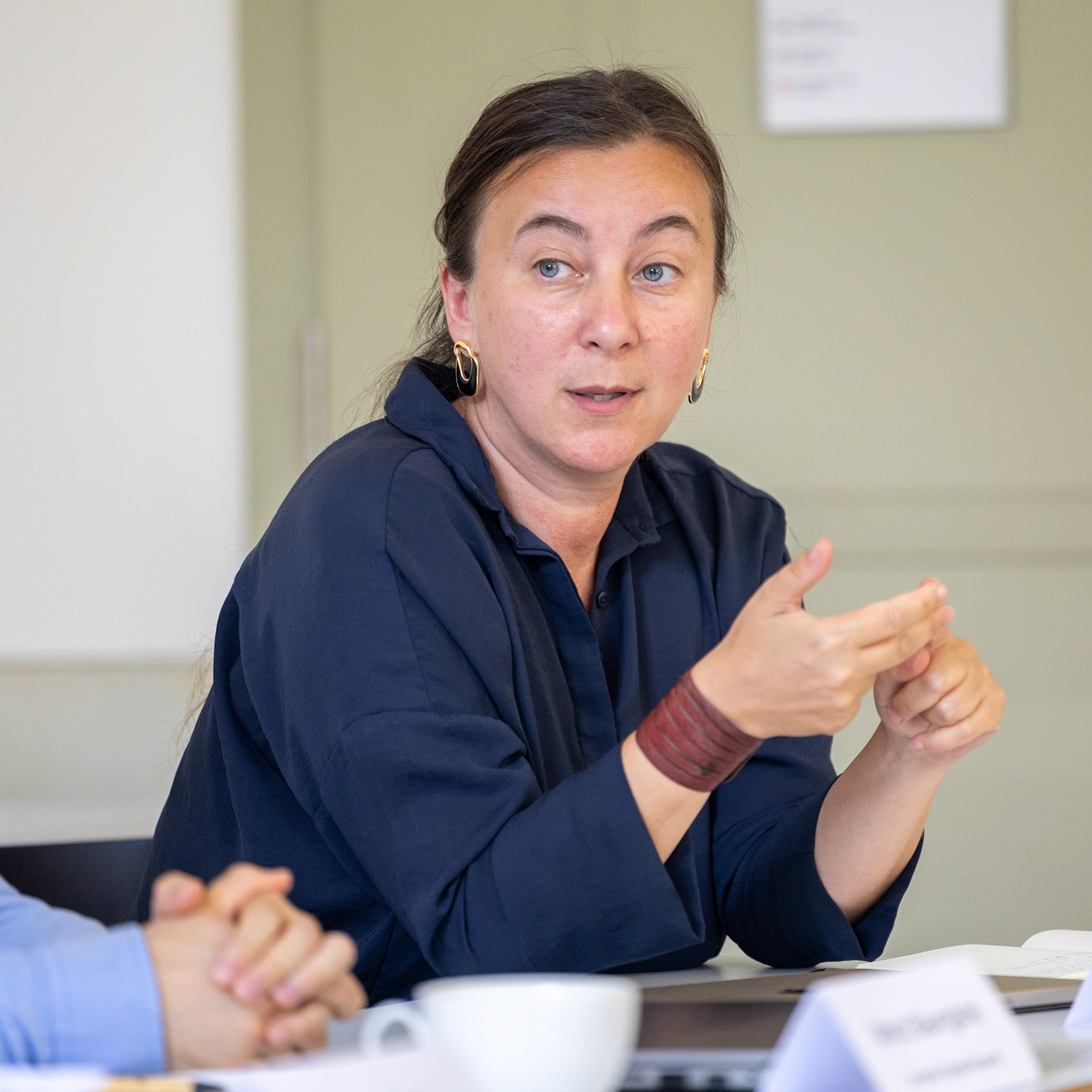 Başak Çalı (Hertie School,  Oxford) (zurich, September 2024).
