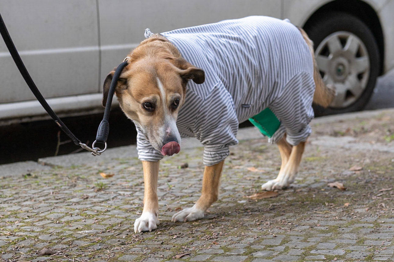 Berlin, March 2025