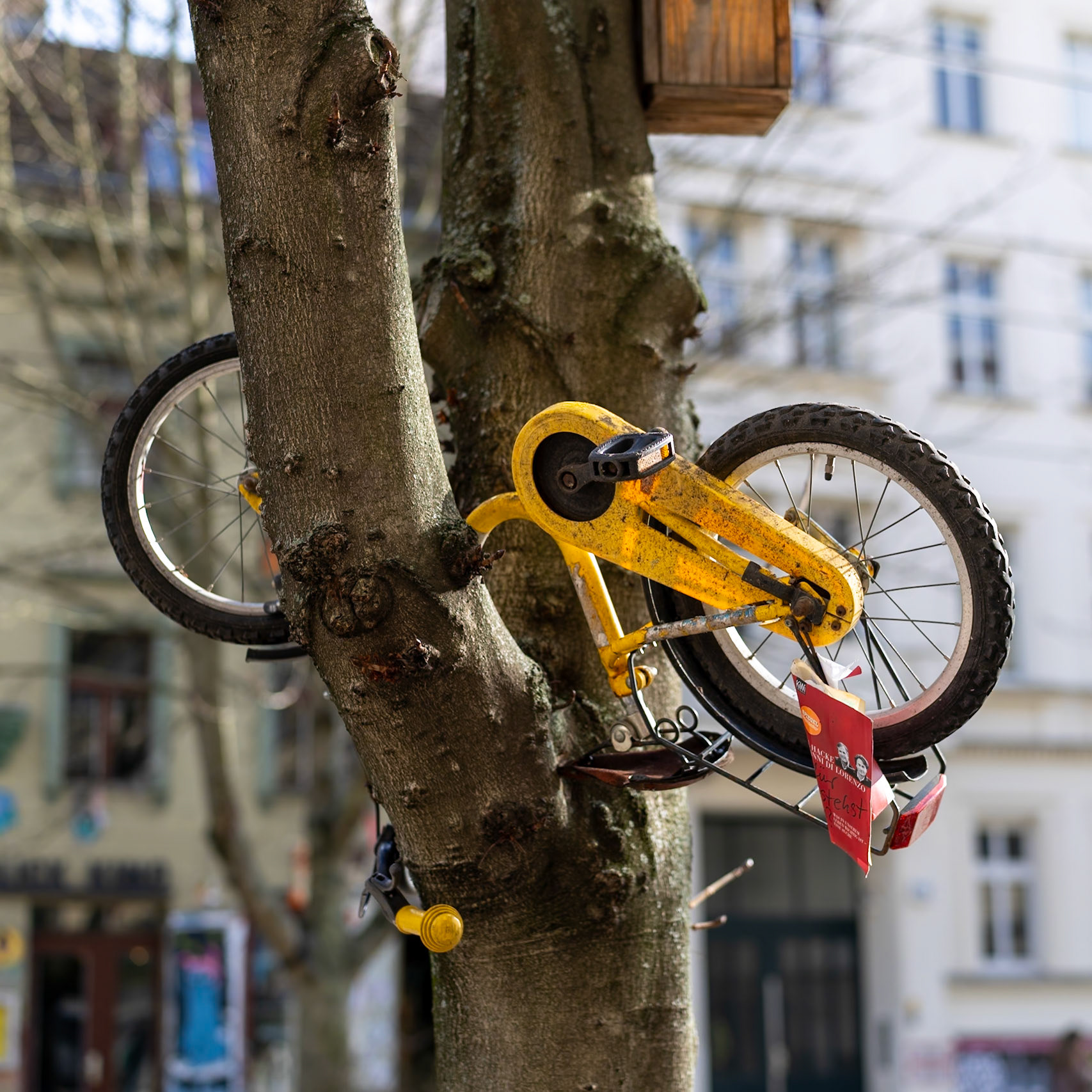 Out in the street 3/4, Berlin, March 2025