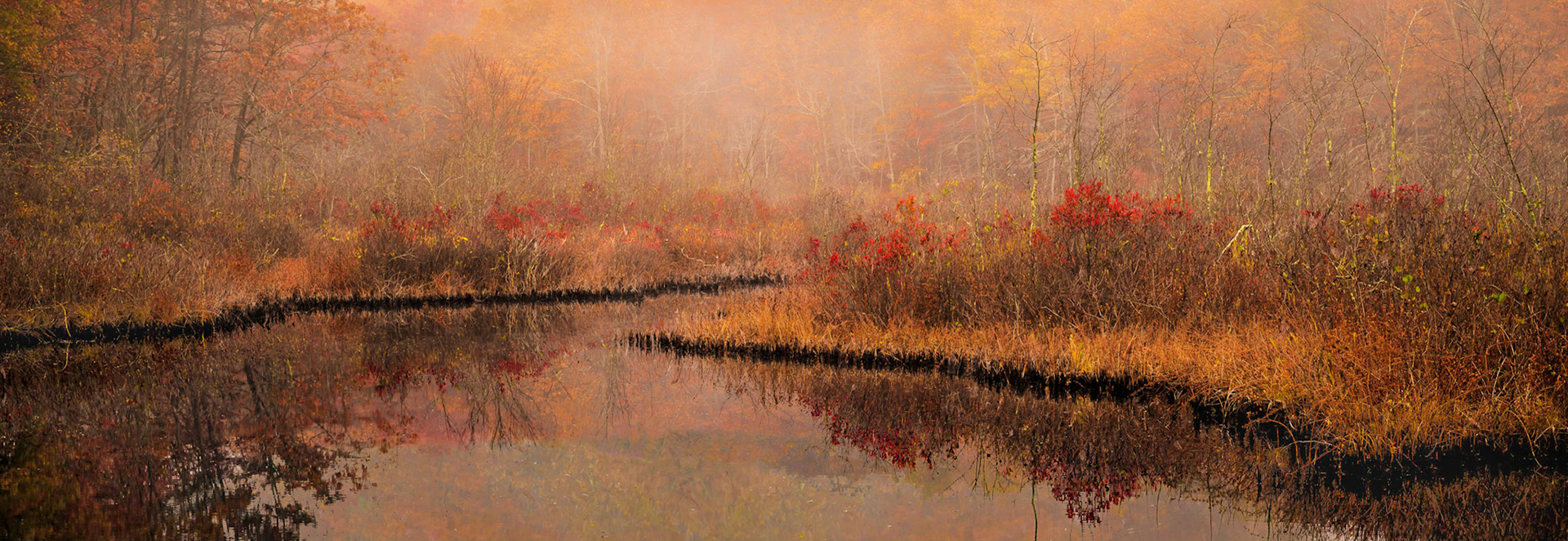 Intersect - High at Ellis