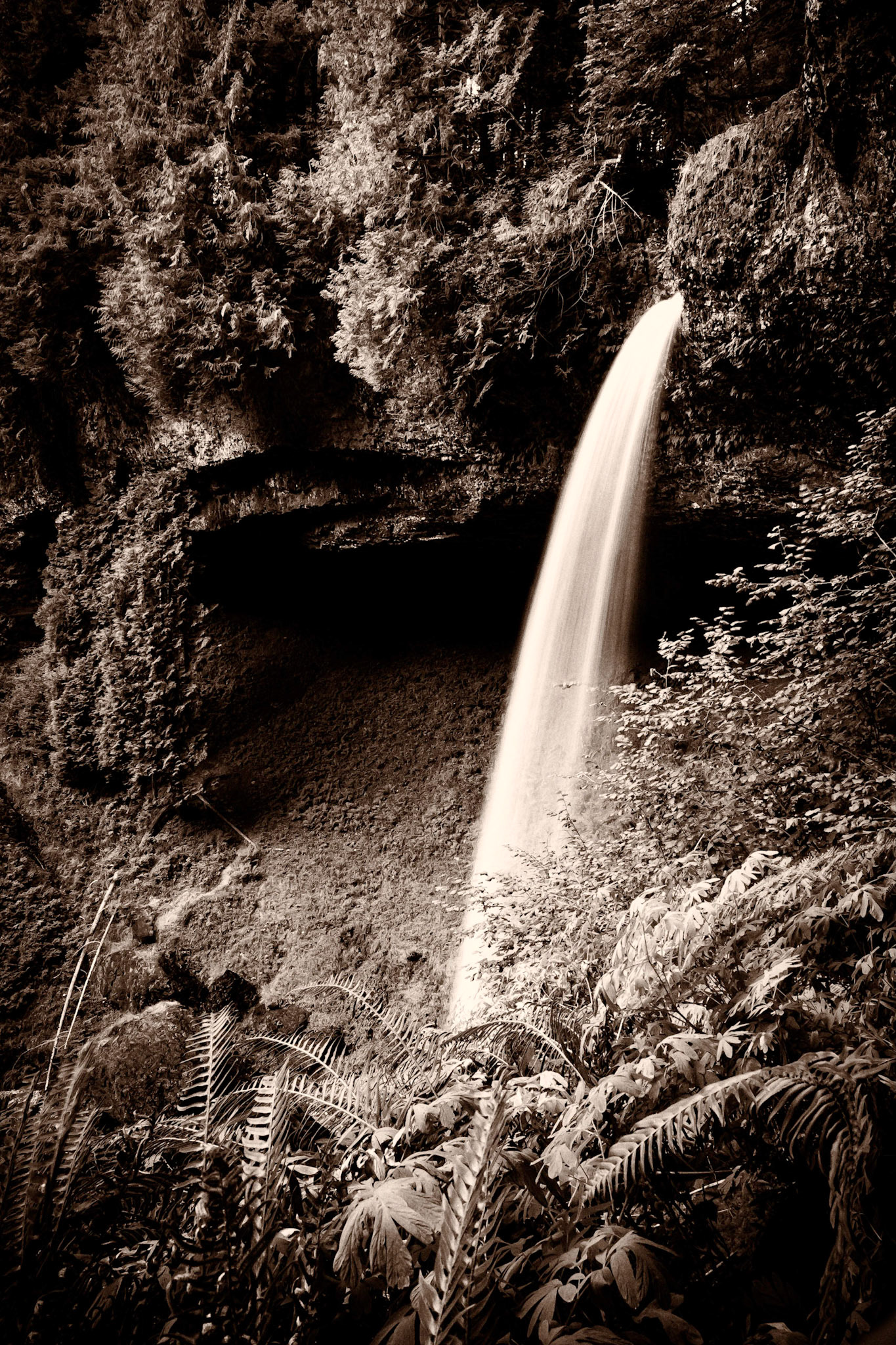 This is a side profile of the north silver falls in Oregon on the hiking trail down into the valley.
