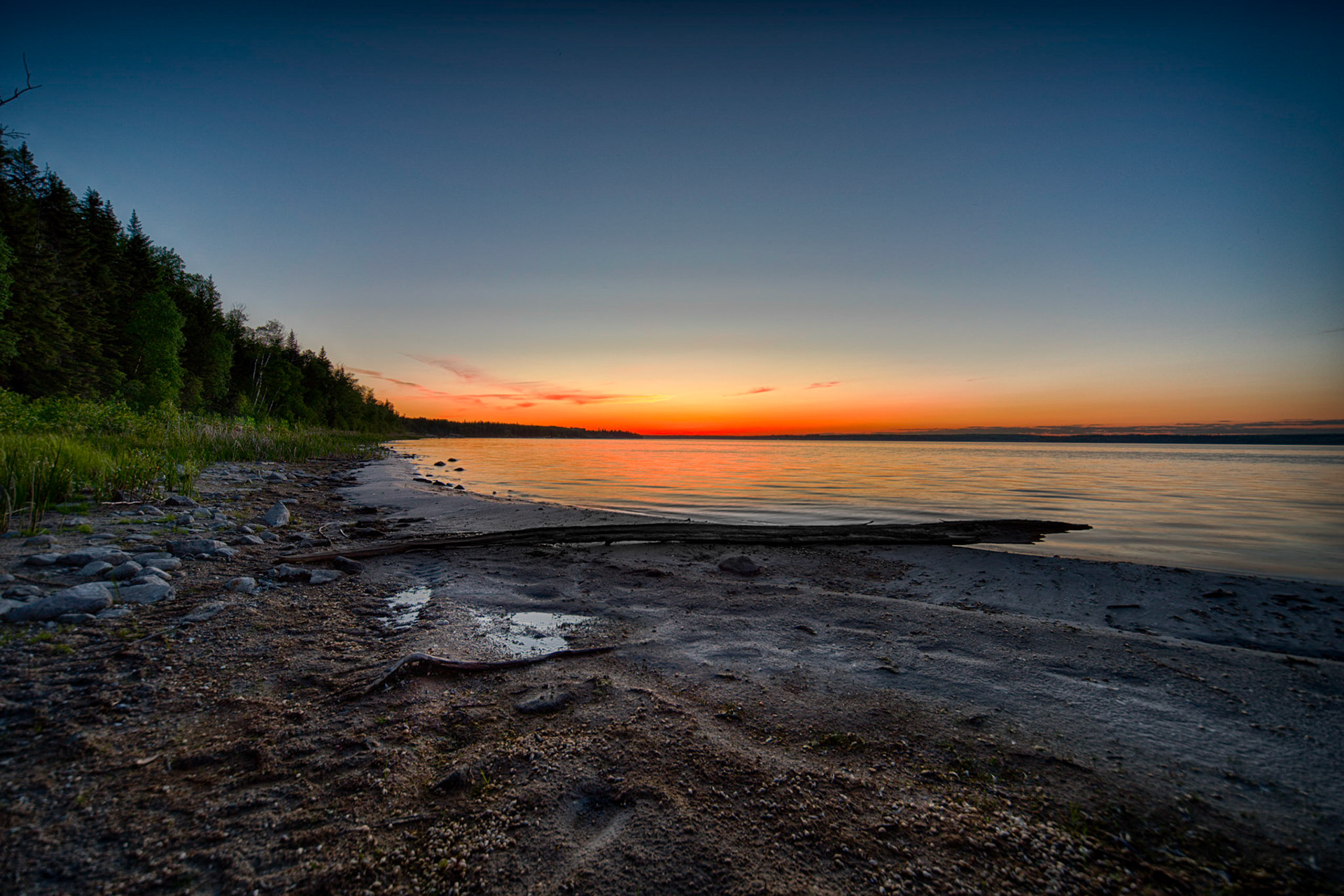 Some driftwood on the beach at sunset on Skeleton Lake, Alberta.