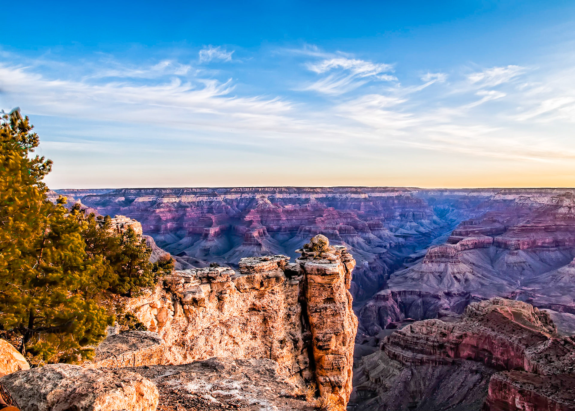 On a very windy morning, a tree sways overlooking the Grand Canyon as the sun is rising.