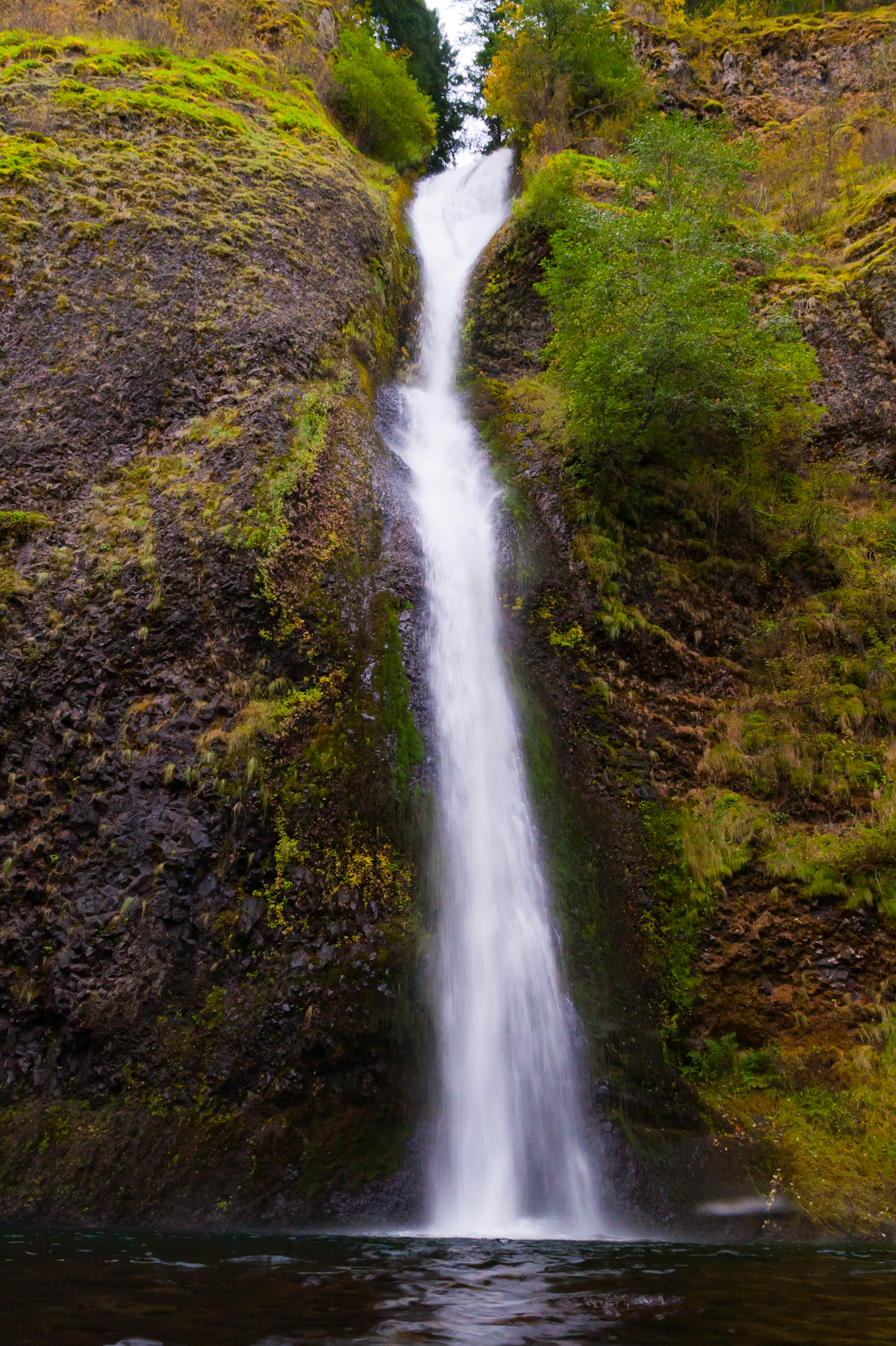 Horsetail falls is a wonderful welcome to the beginning of a splendid but short hike in Oregon.