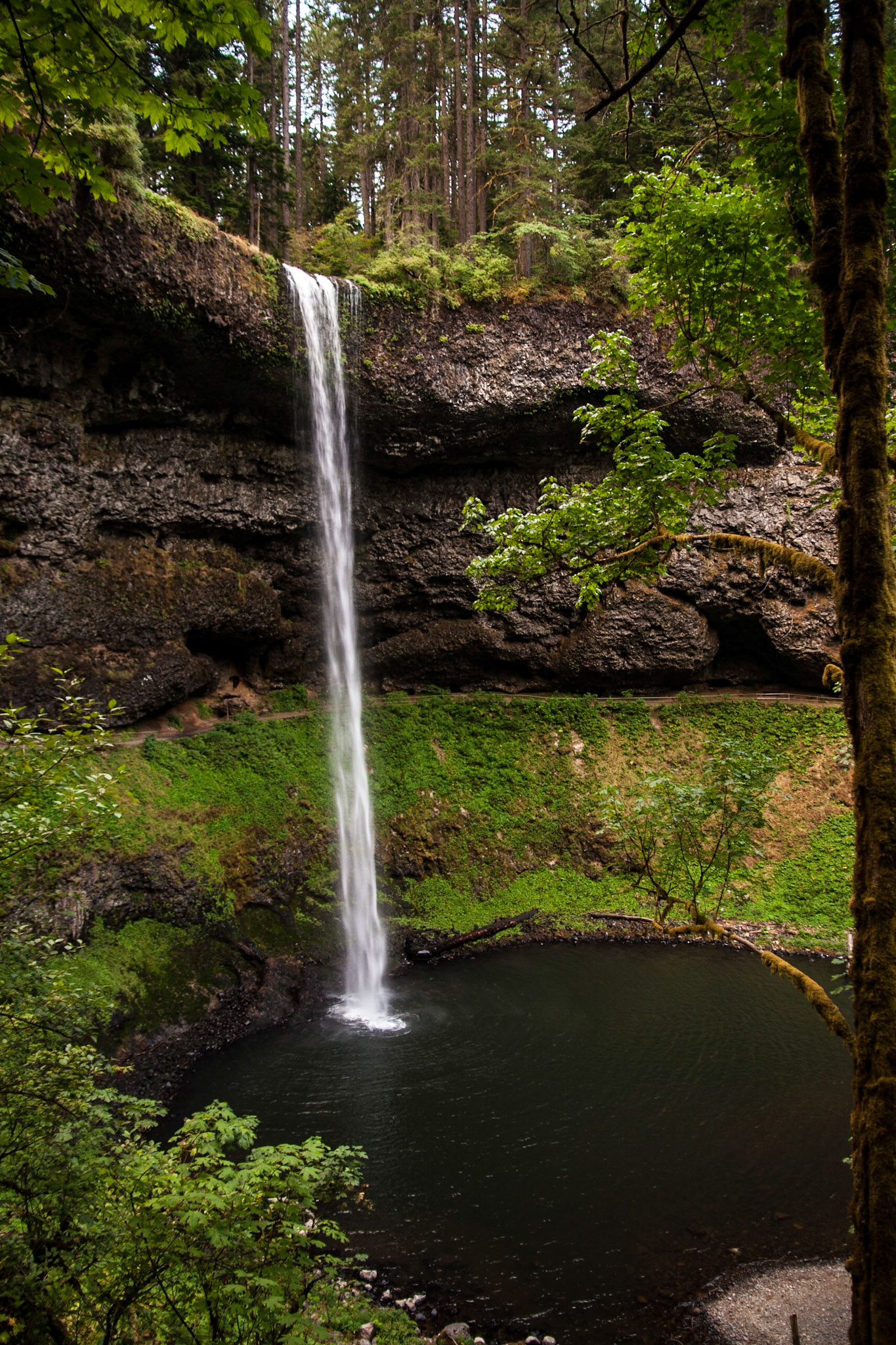 These are the south silver falls in Oregon pouring into the pool below.