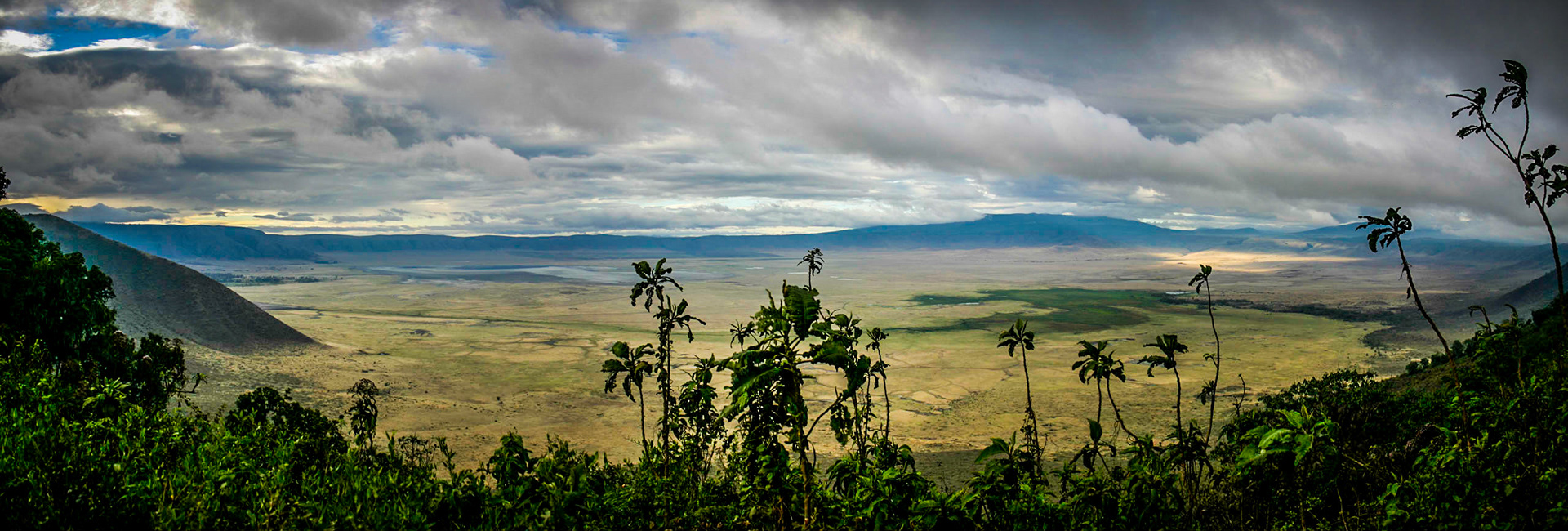This is a panoramic image of the Ngorongoro Crater from the rim on an overcast morning.