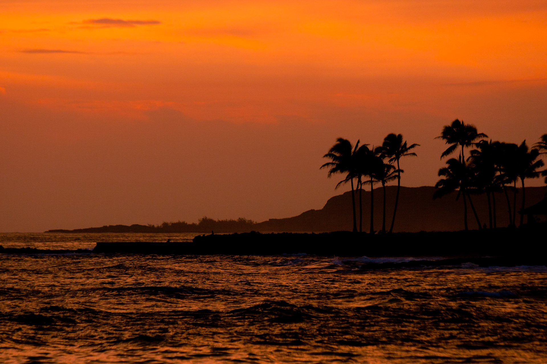 In this shot, the palm trees are silhouetted against the rolling waves and sunset in Kauai.