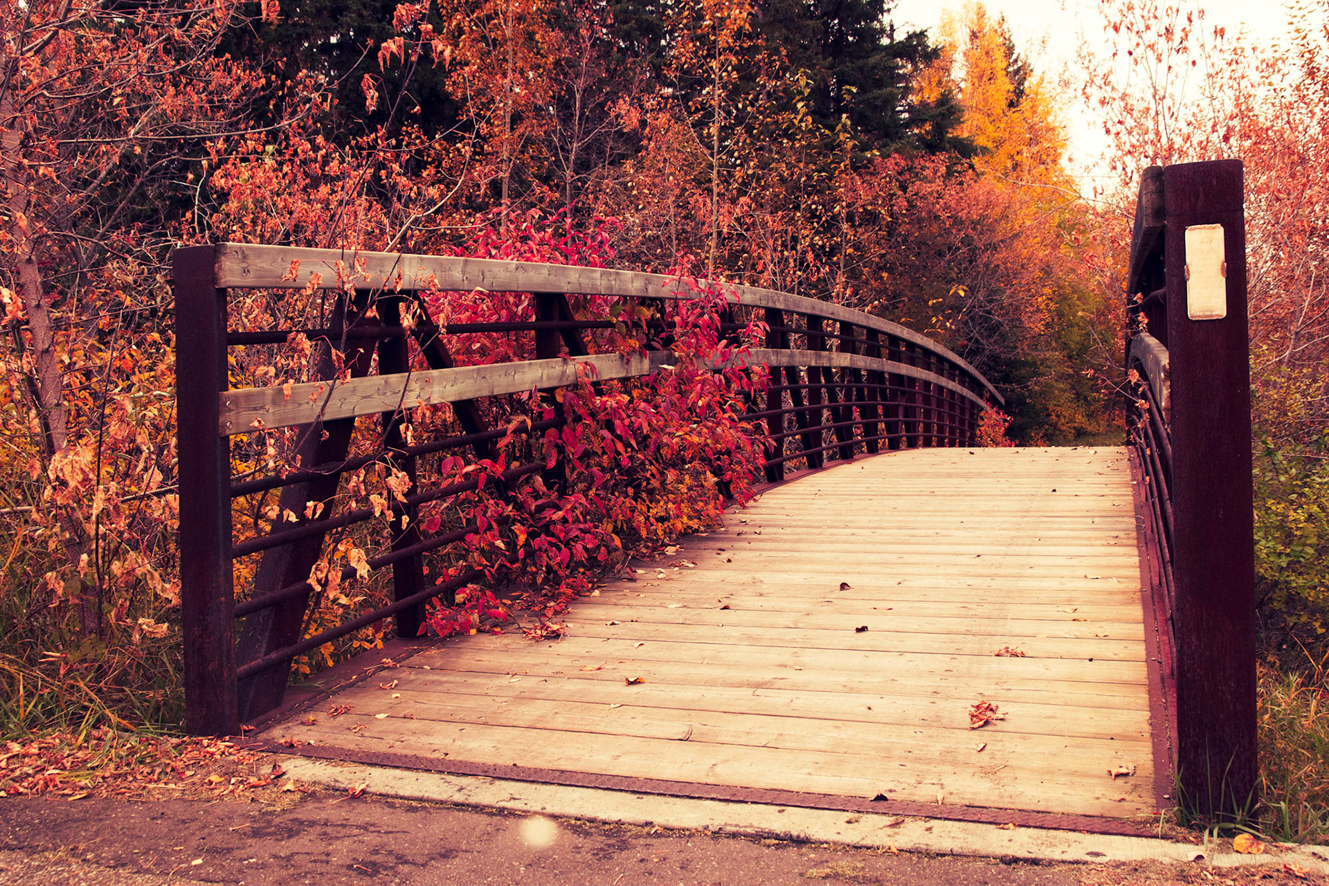 Small pedestrian bridge amongst the autumn leaves.