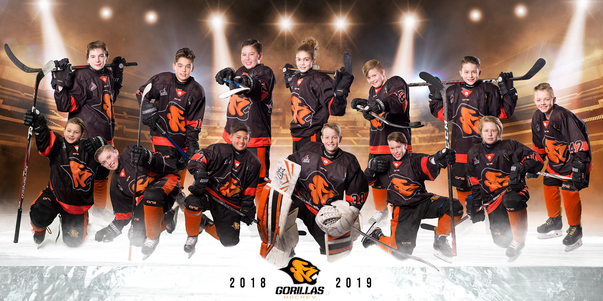 This is a team poster composite image for the 2018-19 Peewee Gorrilas ofthe HSL league.