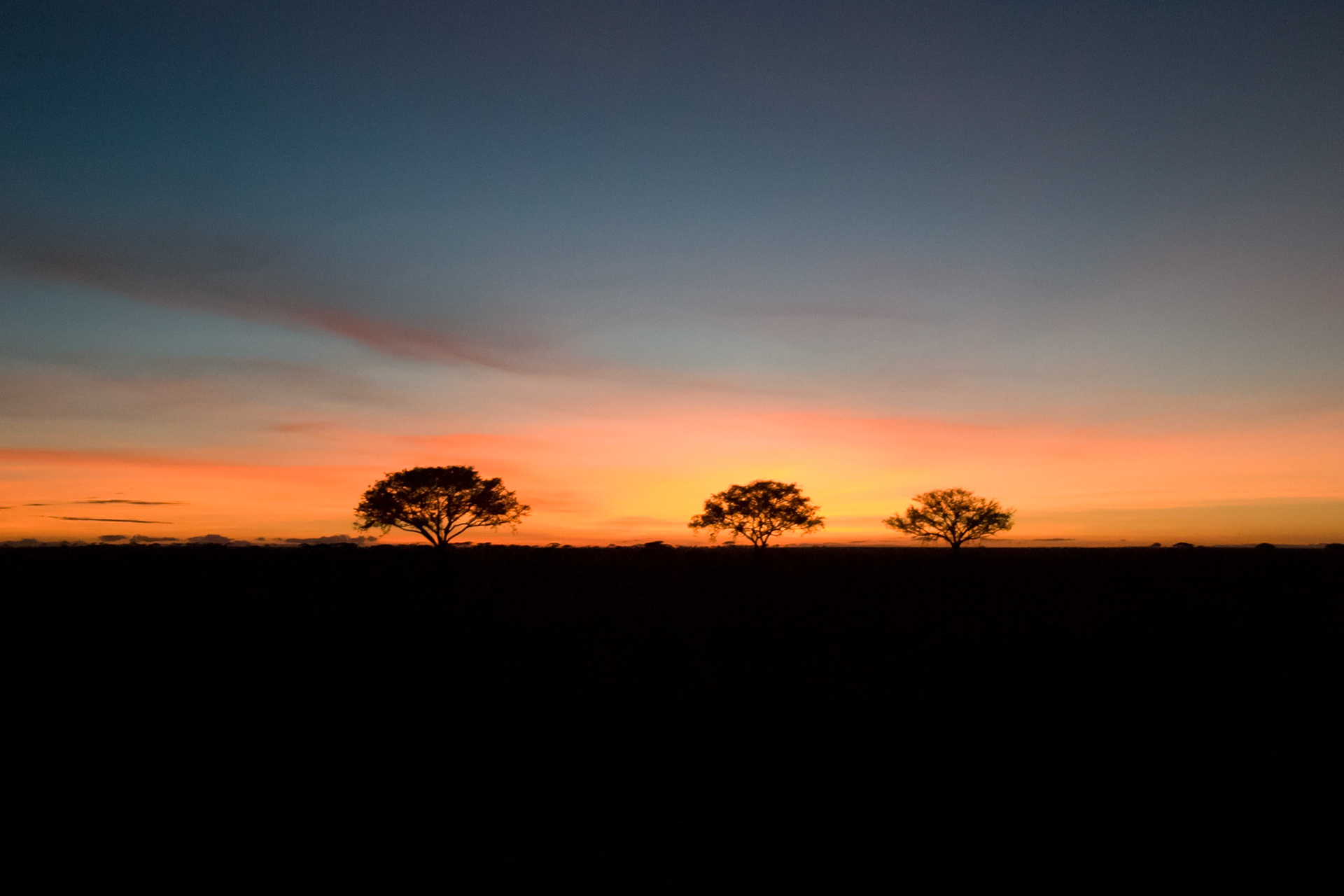 The sun setting in the Serengeti during the dry season