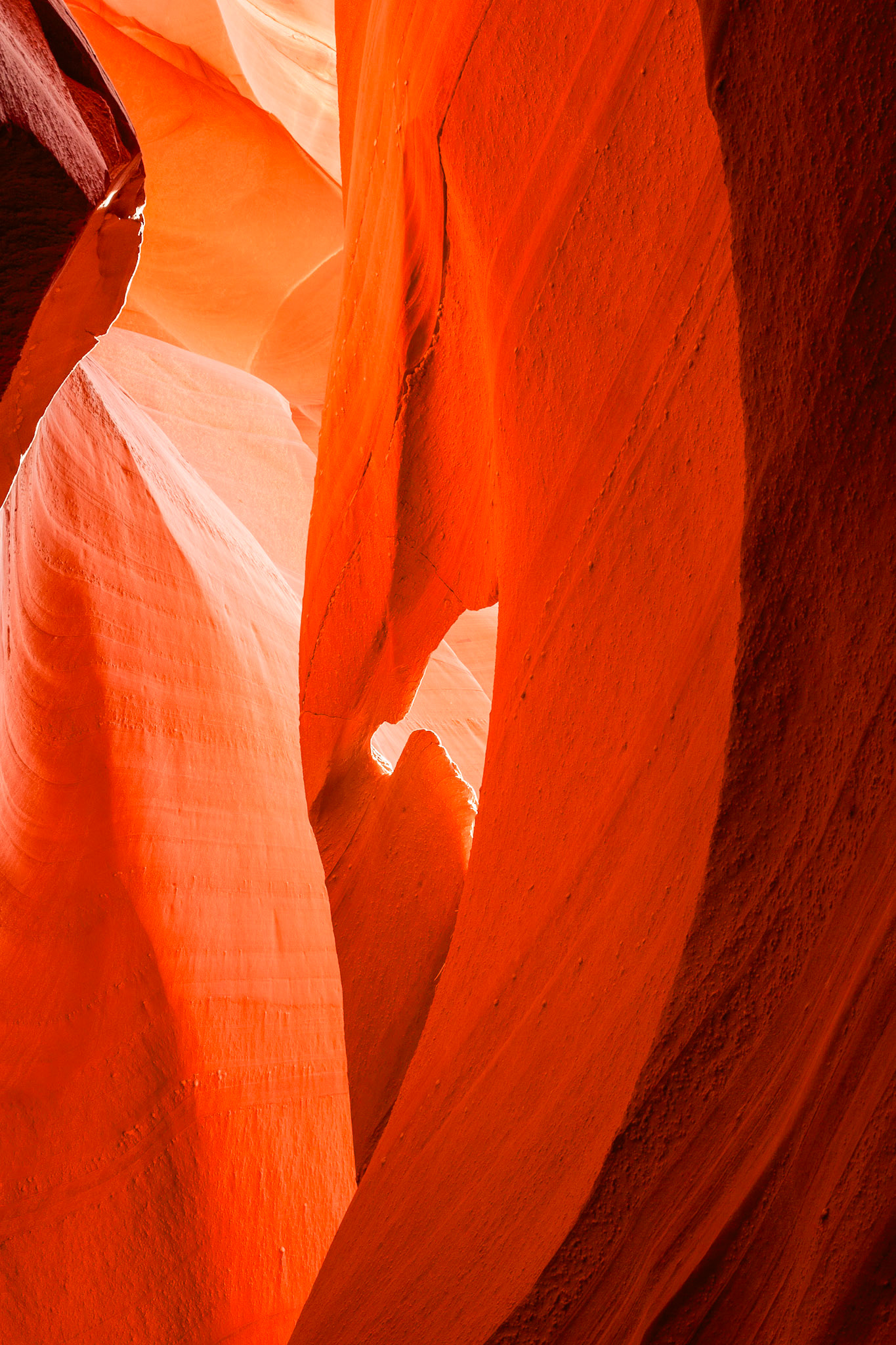 This small eyelet in a tall wall in South Antelope Canyon shines as it is backlit.