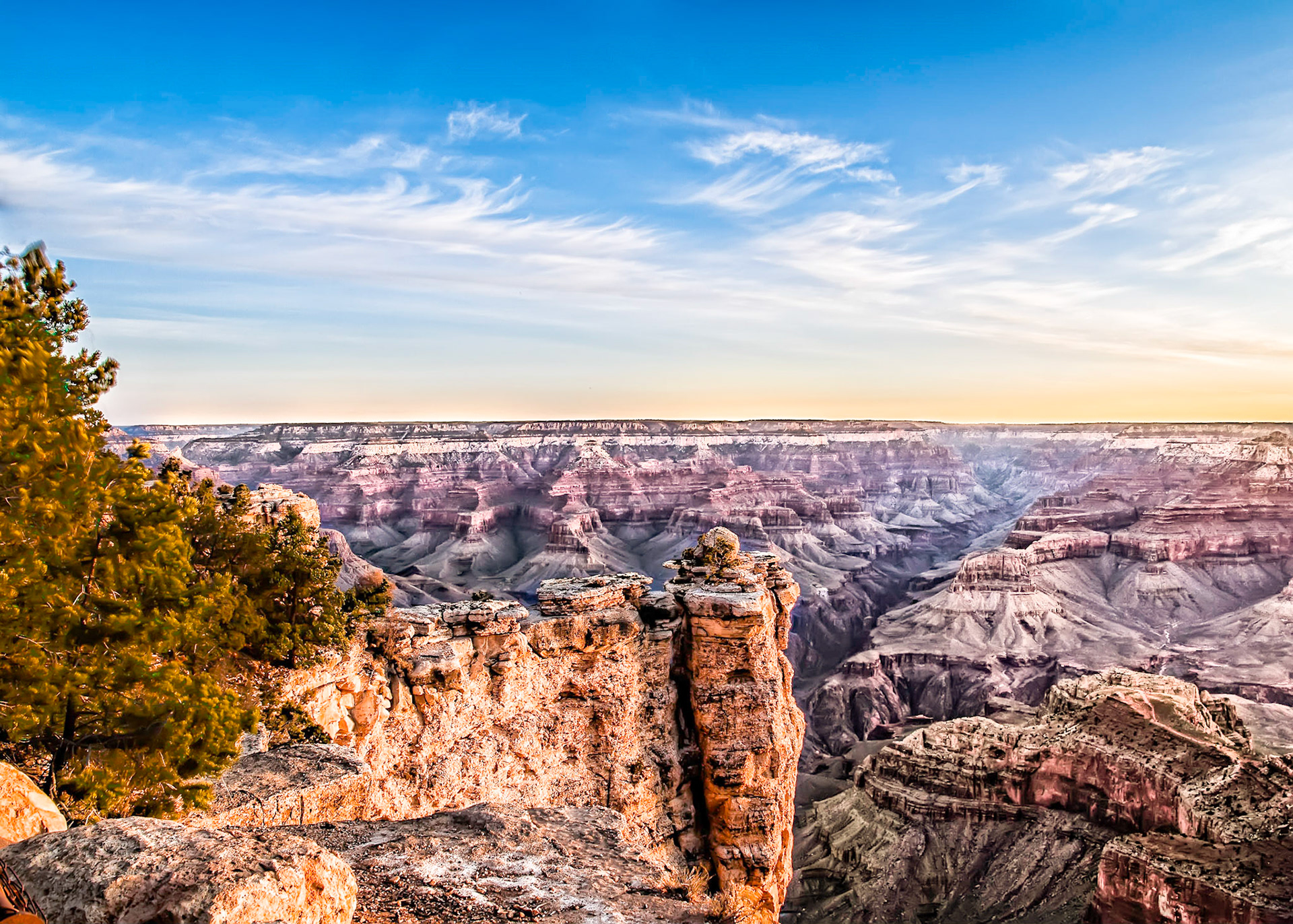 On a very windy morning, a tree sways overlooking the Grand Canyon as the sun is rising.