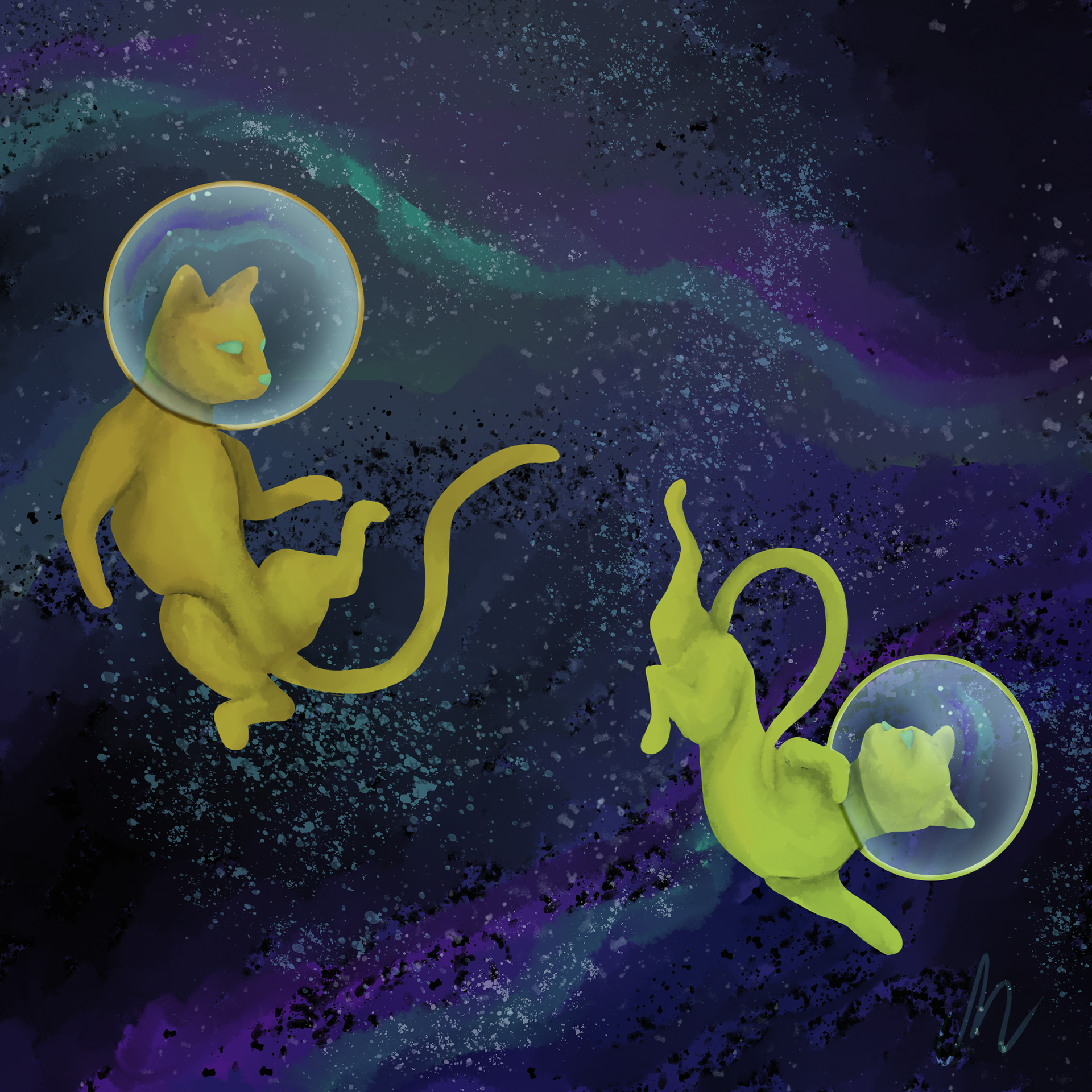 Galaxy Cats 2021