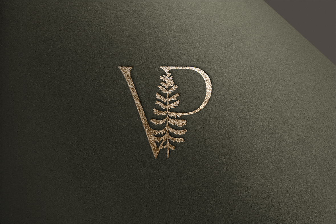 Création d’une identité visuelle pour Véronique Piette Photographie.