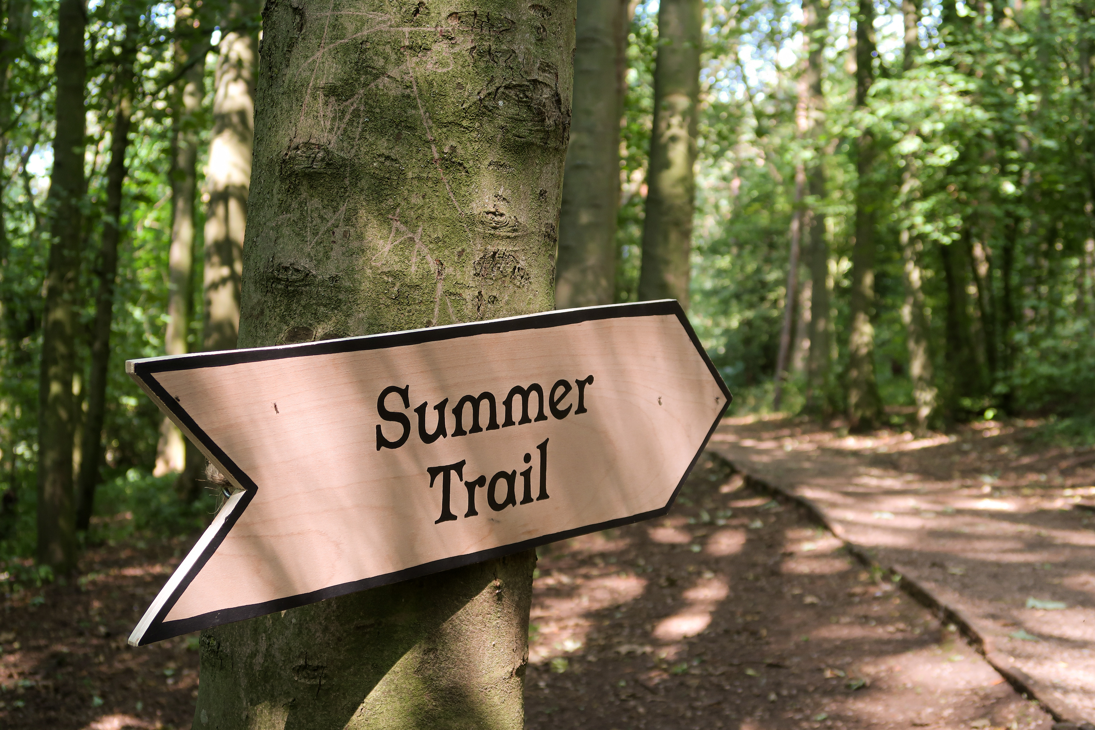 Wayfinding Signage