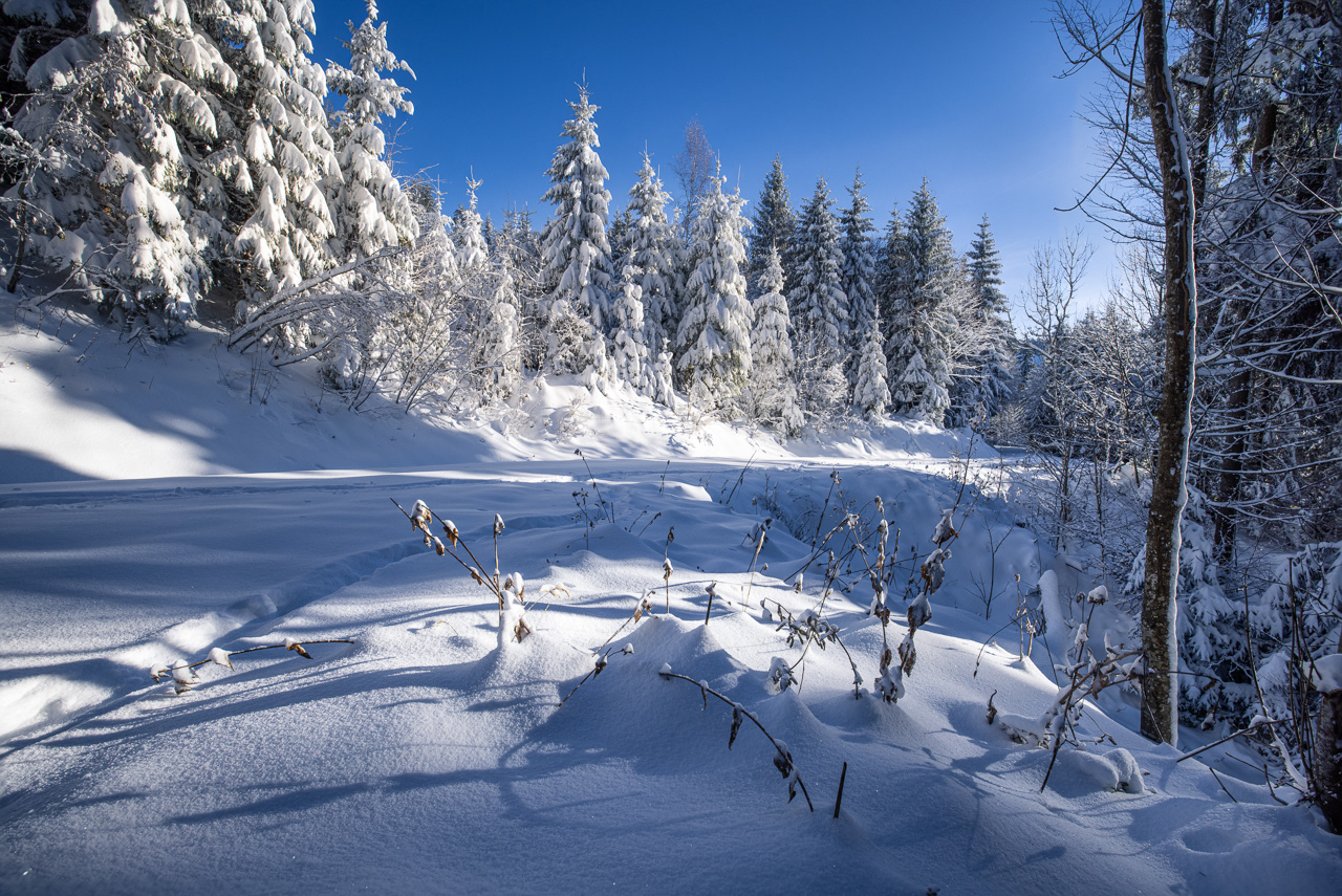 Winterwonderland Switzerland