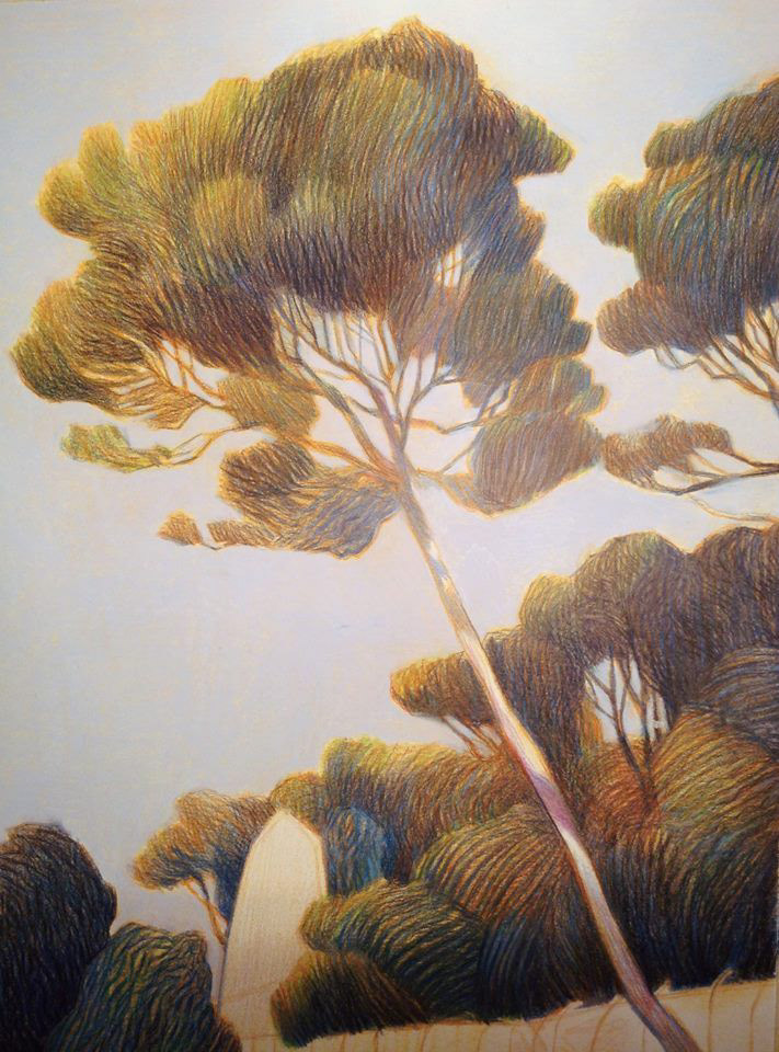 Andrea Serio
