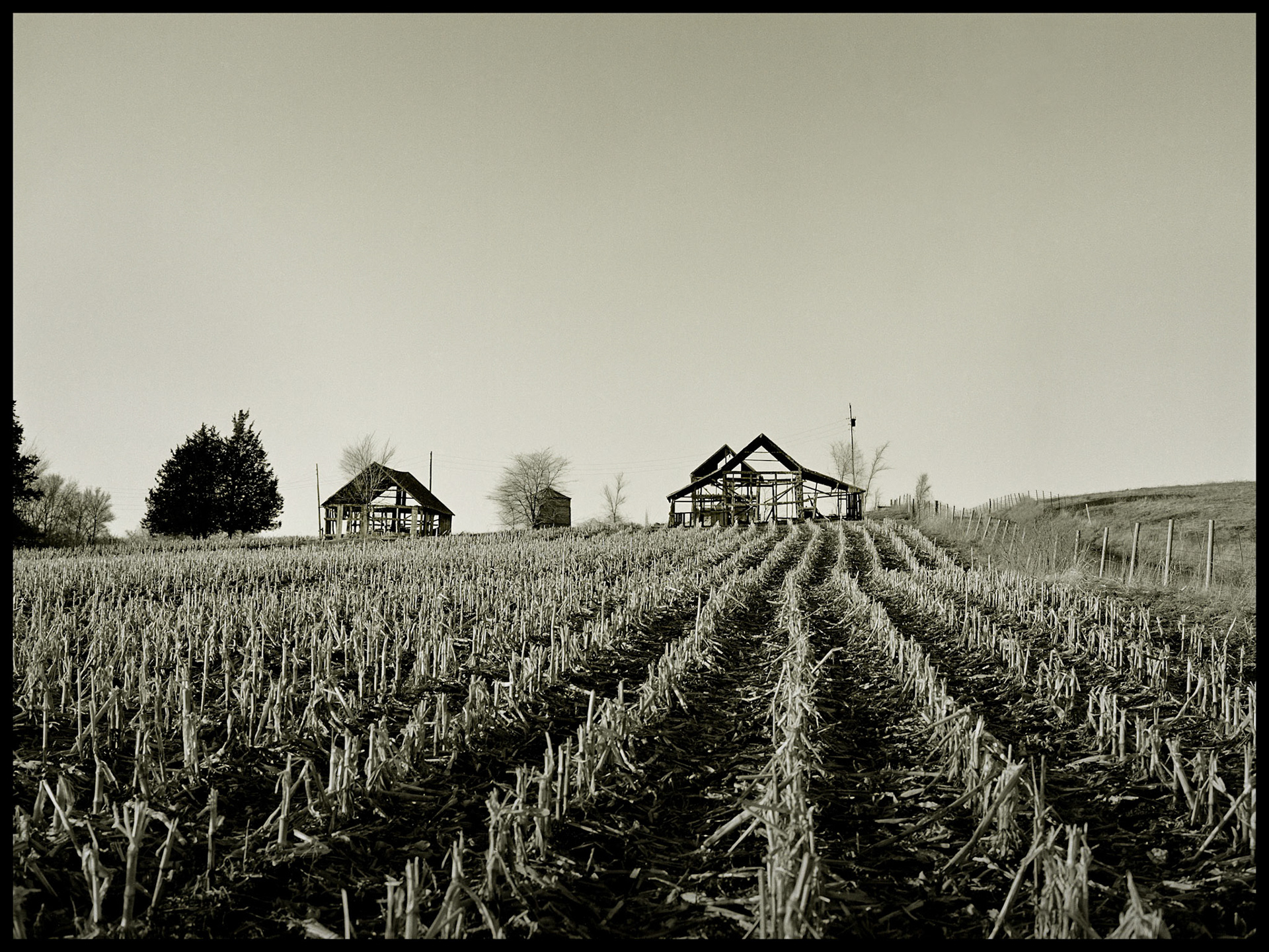 A sepia toned black and white landscape of the frames of two barns at the edge of a harvested field of corn next to a  dirt road near Kirksville, Missouri, 1979.