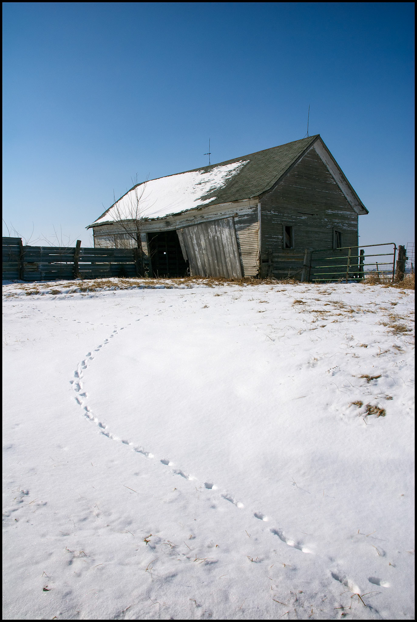 A rural Missouri rustic winter scene of a dilapidated, abandoned barn covered by and surrounded by snow, a fence and gate with a deep blue sky in the background.  Near Loeffler, Missouri, 2008