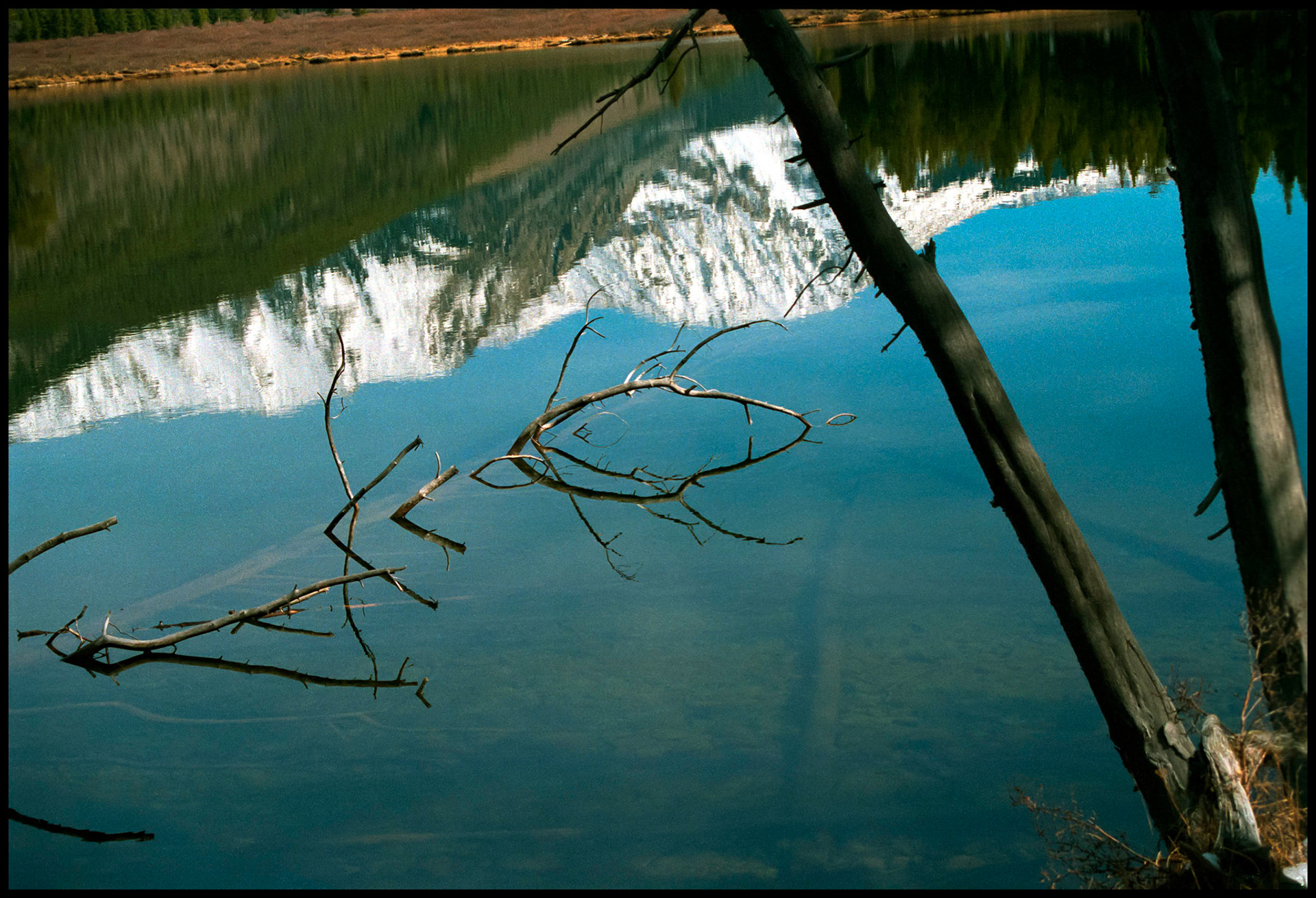 An abstract minimal Colorado scenic detail of a snow covered mountain and blue sky reflection in a clear mountain lake with a partially submerged dead tree and sunken trees near Taylor Park. Unique angular perspective showcases water's transparent and reflective qualities. Texas Lake in Taylor Park, near Tin Cup Colorado USA