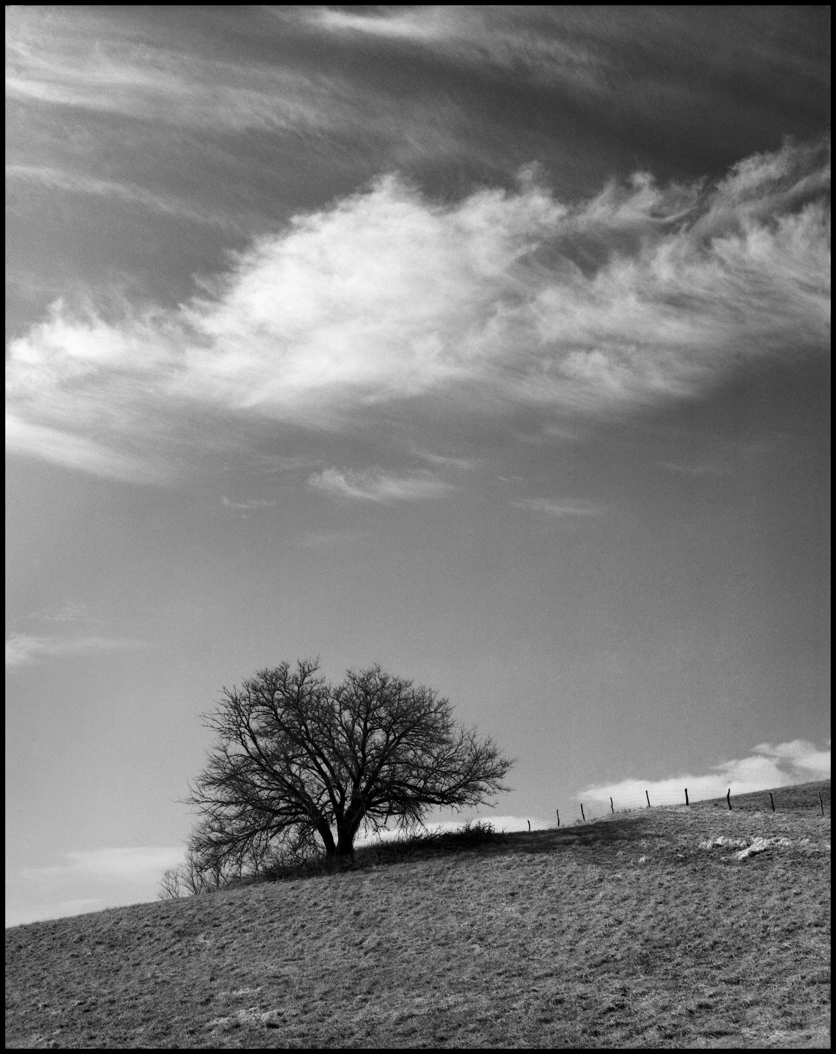 A black and white landscape featuring a solitary tree on a hillside next to a fence row with wispy cirrus clouds in the sky, near Baring, Missouri 1989