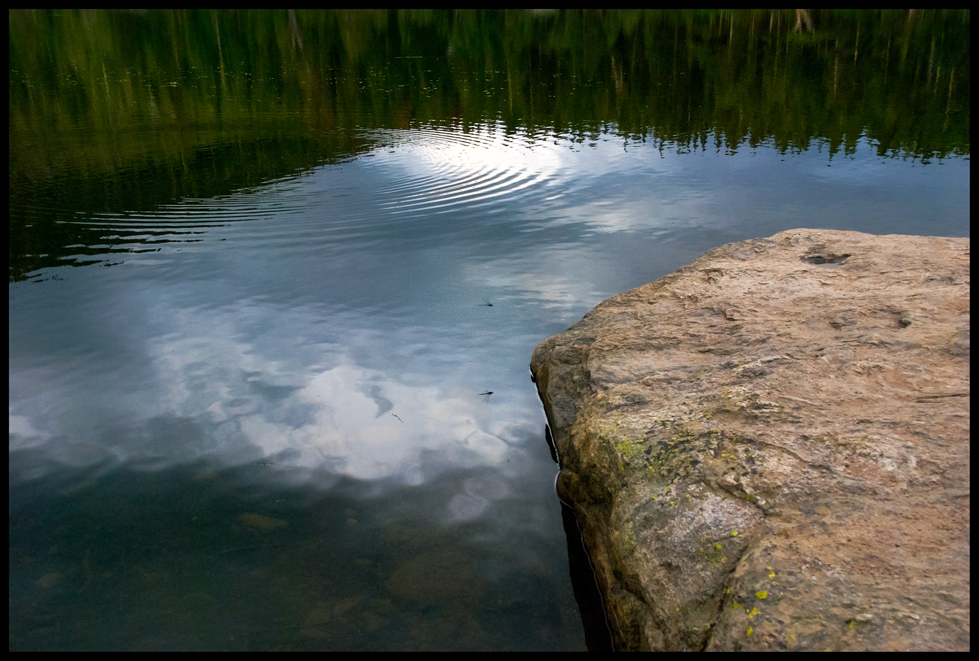A boulder at the edge of a lake whose surface is marked by concetric circular ripples and is reflecting the surrounding pine forest and clouds with a dragonfly hovering above the water also casting it's reflection in the water. Bear Lake, Rocky Mountain National Park, Colorado USA.