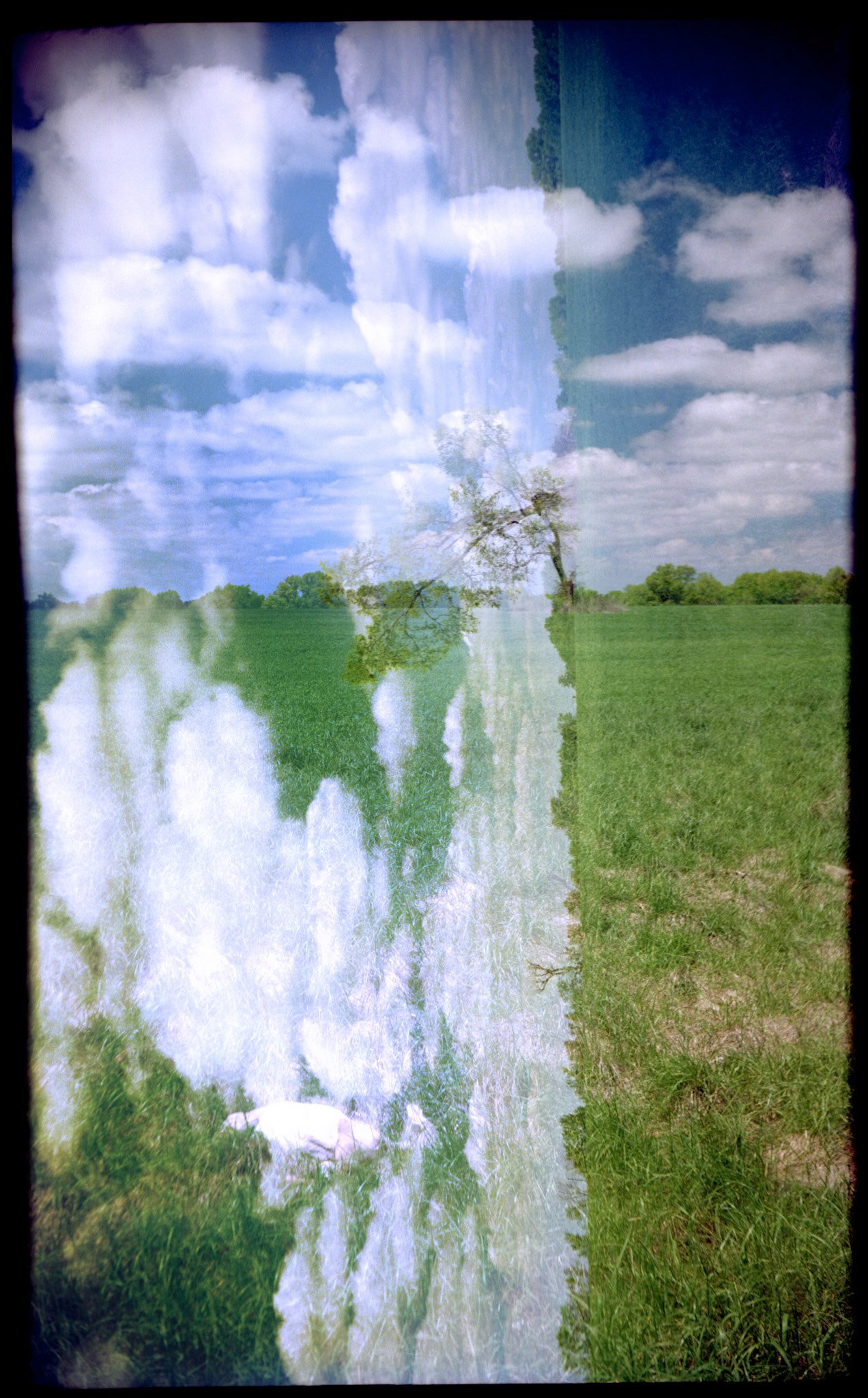 Criss Cross, 1990. An in-camera double exposed image (one horizontal - one vertical) of a solitary leaning tree in a green summer field with pillowy clouds dotting a blue sky in the background near Renick, Missouri
