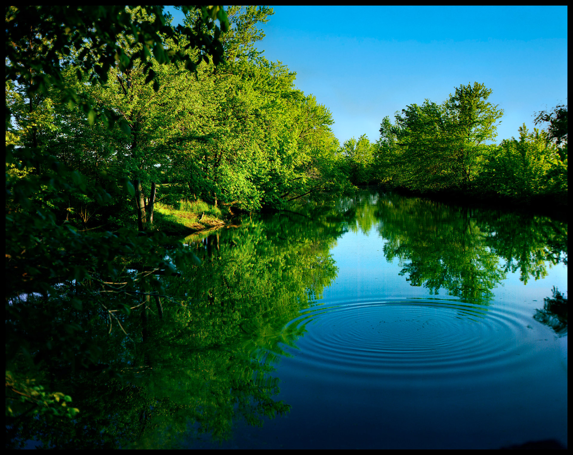 An idyllic tranquil scene of the reflection of brilliant green trees and a deep blue sky in a slow moving river with a perfectly smooth surface except for concentric circular waves created by something falling in the water. Near Green Grove Missouri 1984
