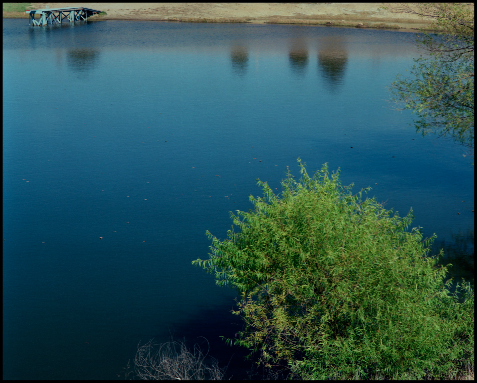Reflection of Three Cedar Trees in a blue lake with a dock and green bush in the foreground, near Hinton, Missouri 1988