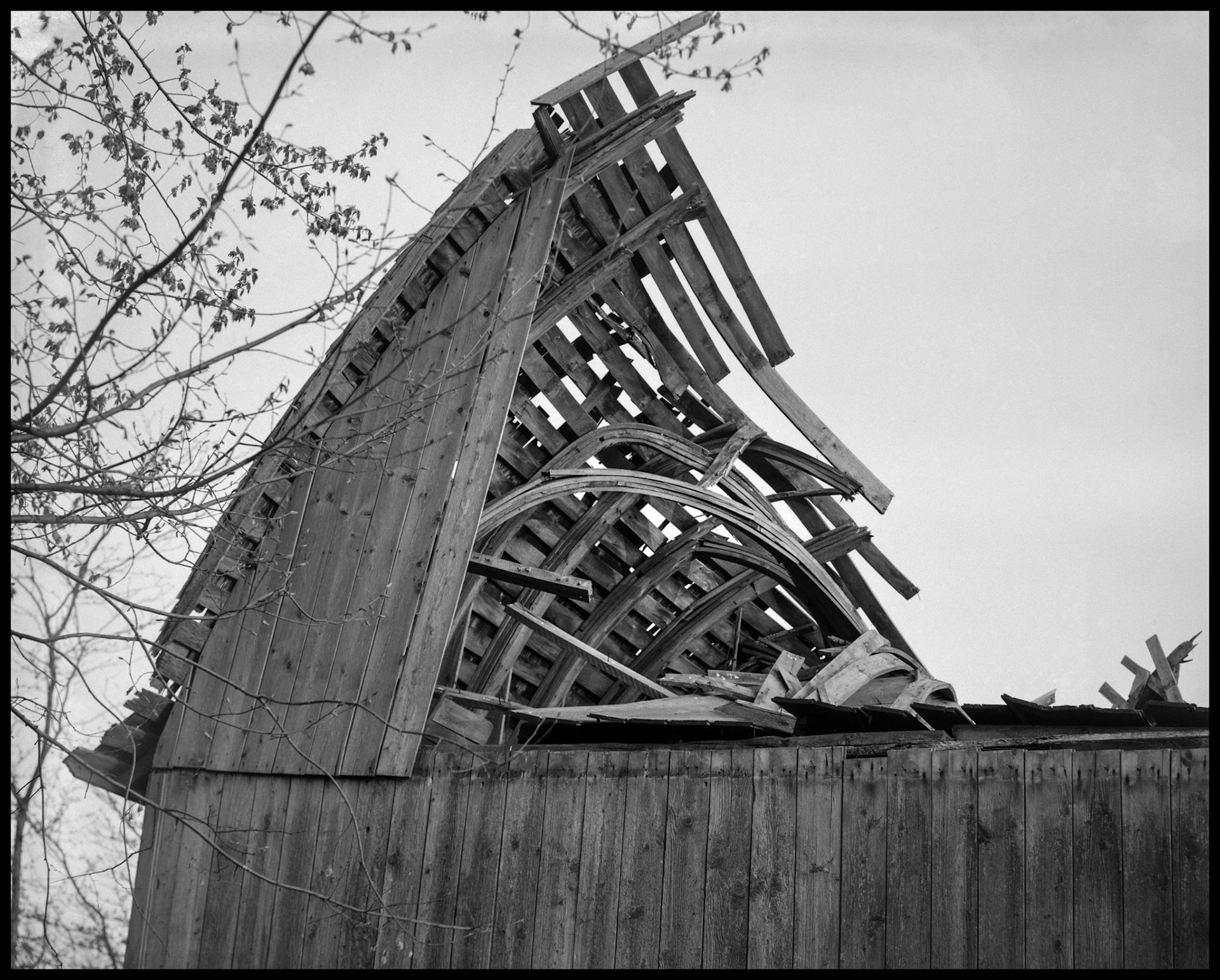 A vintage black and white view of the remains of the collapsed roof of a barn whose supports have continued to warp after years of being exposed to the elements. Near Greentop, Missouri 1984