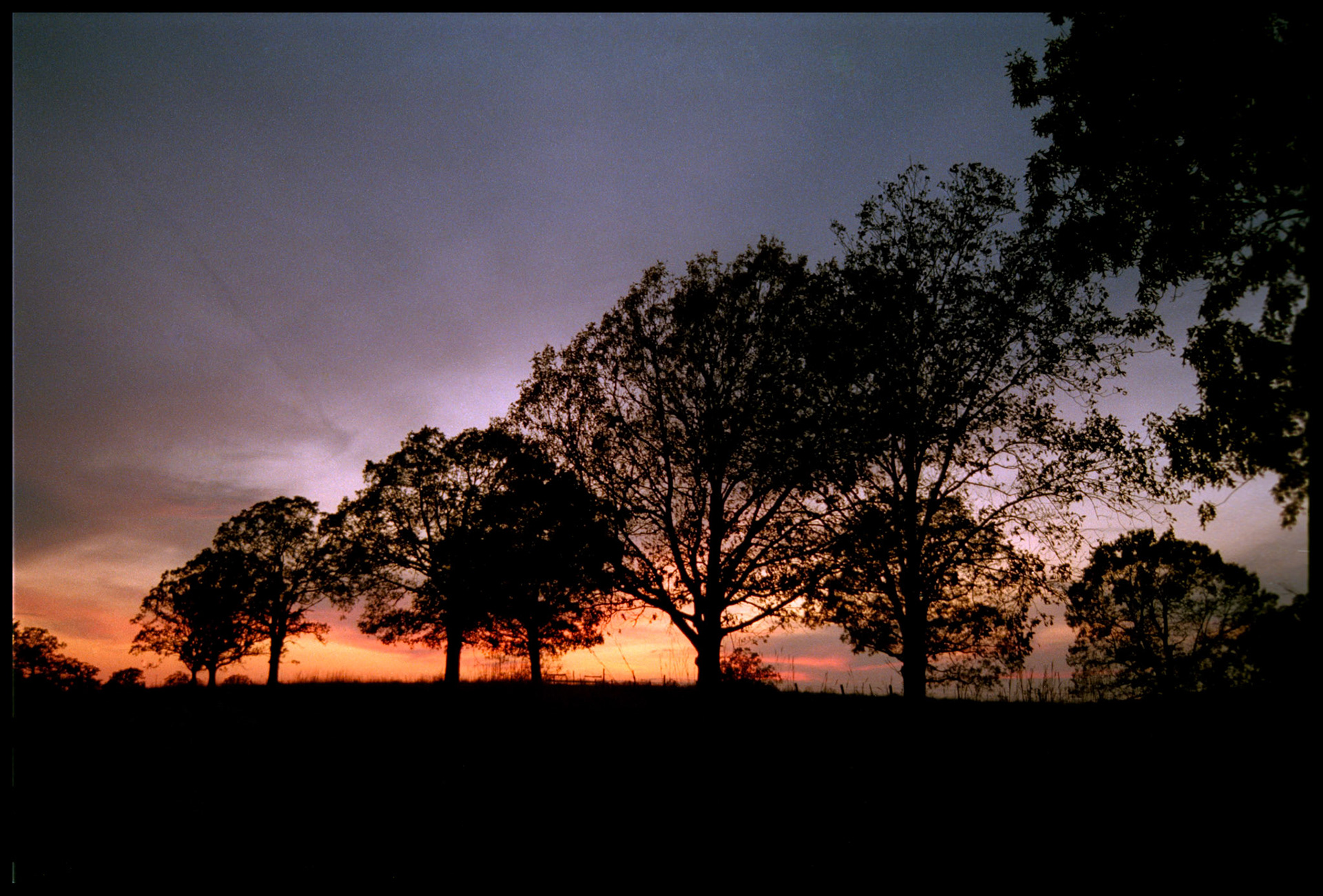 A sprawling tree silhouetted by the purple and orange fiery sunset. Near Rucker, Missouri USA 1993