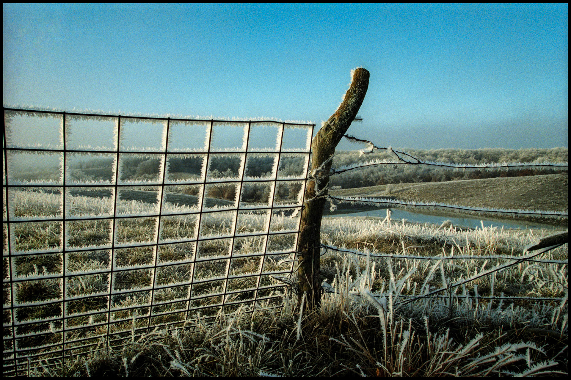 A gate, fencepost, and barbed wire fence covered in heavy frost or frozen fog at sunrise with a pond and frozen hillside and forest in the background. Near Pure Air, Missouri 1994
