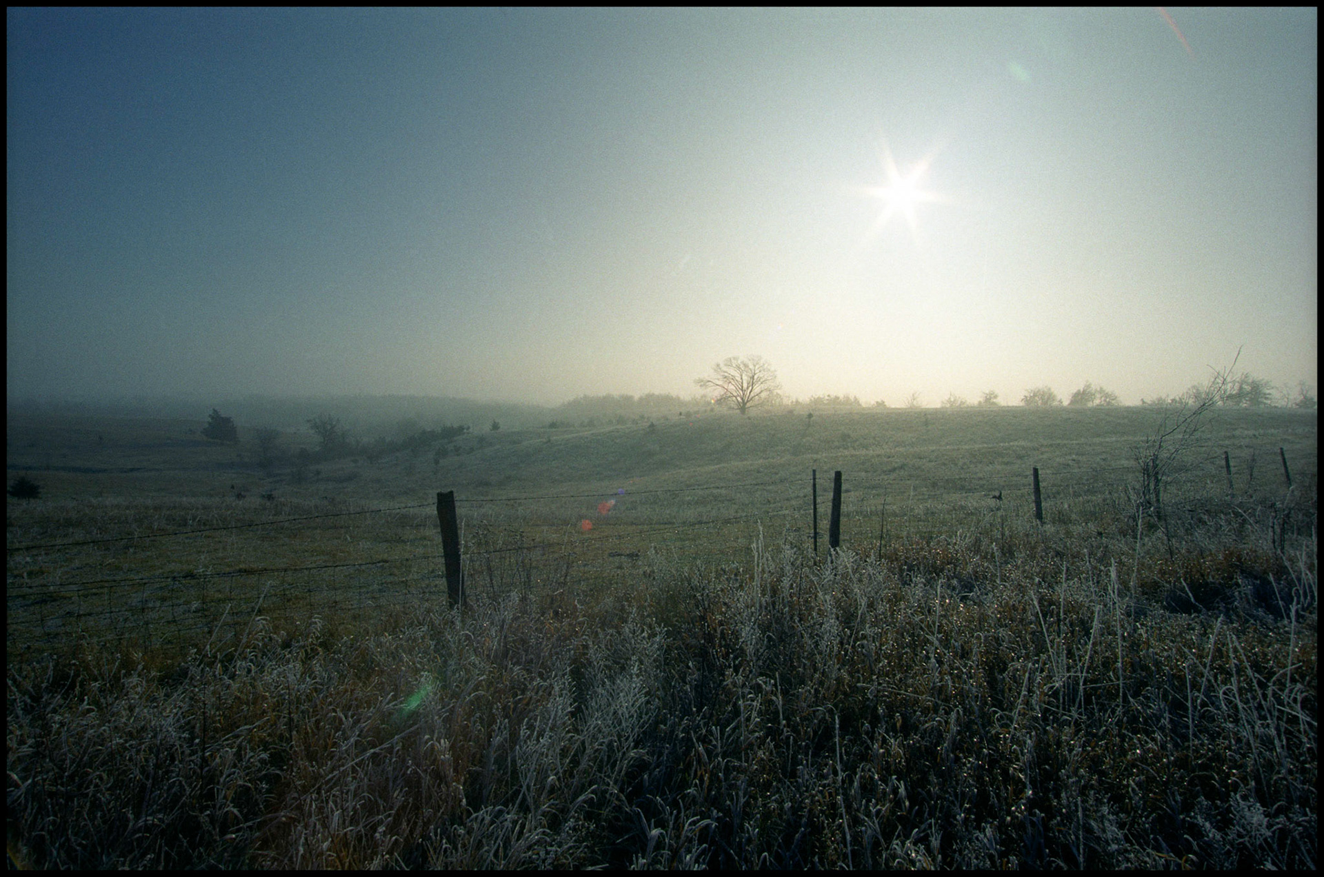 Pastoral scene shot into the sun of a misty, foggy, frosty, winter sunrise with a leafless tree and the blown out, flaring sun as the focal point and a frosty pasture and fenceline in the foreground. Near Pure Air Missouri, 1994.