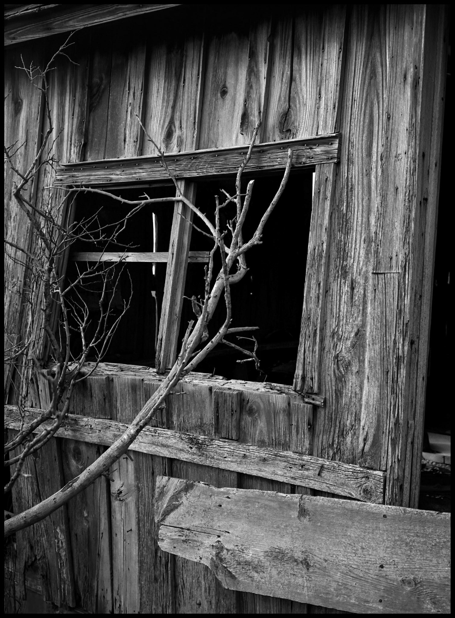 An black and white minimal abstract detail of a window in a weathered abandoned farm building with a leafless curved tree branch in the foreground. Near New Boston, Missouri, USA, 1979.