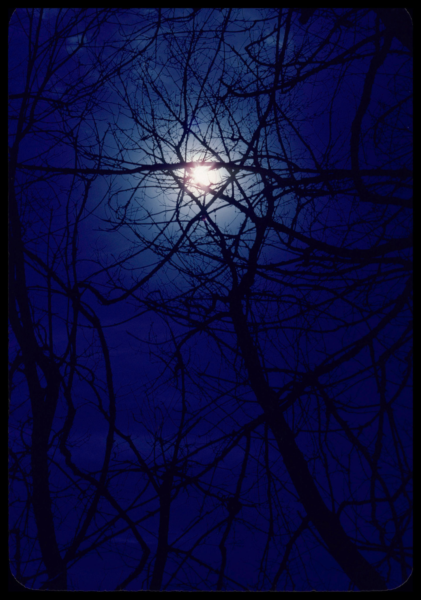 The bright moon shining through an aperture in silhouetted branches against a dark indigo sky resembling an eye peering through. Near Pennville, Missouri USA, 1977.