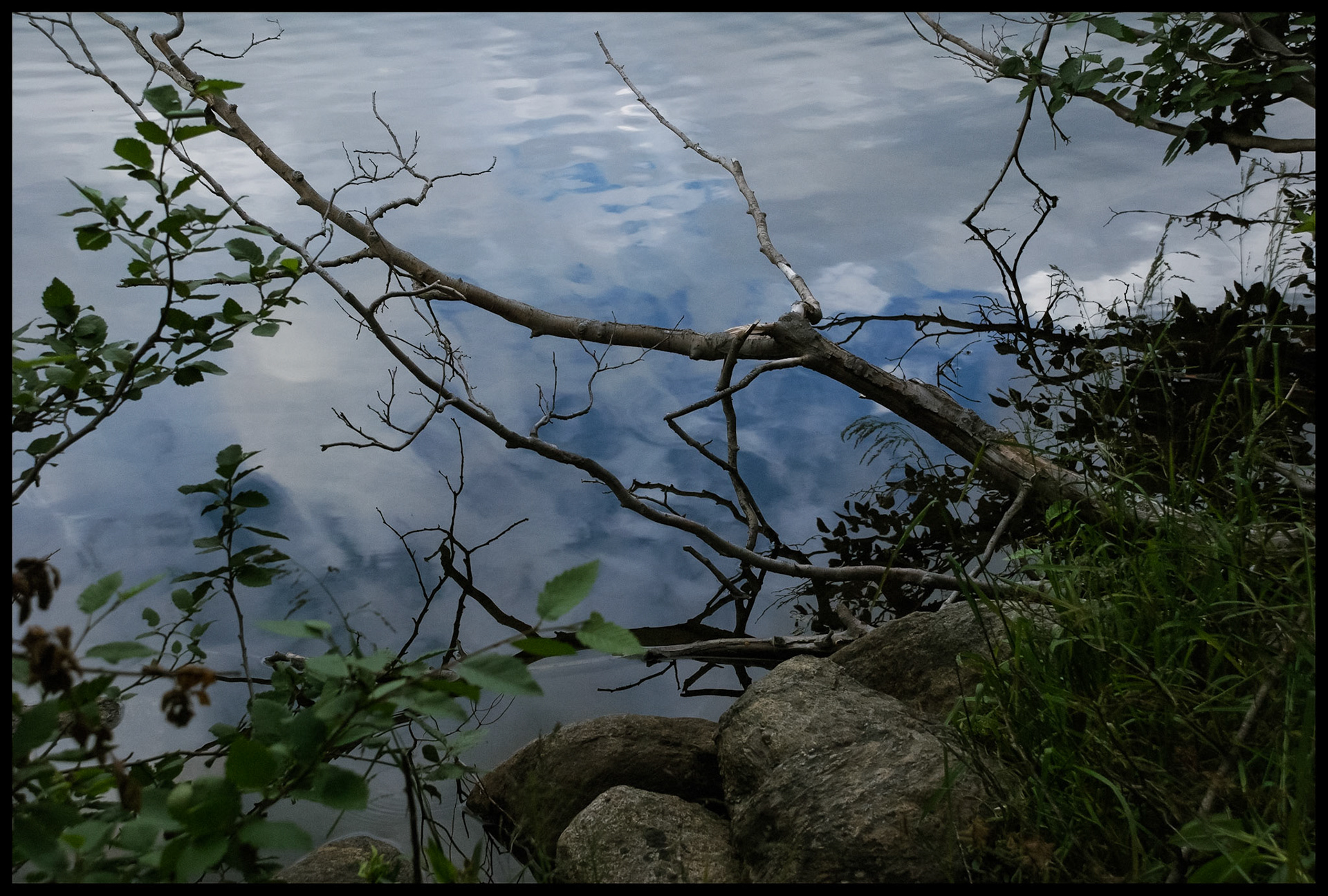 A serene nature still life of a dead branch hanging from the edge of a rippled lake that is reflecting the spottily cloudy sky with rocks in the foregound. Bear Lake Rocky Mountain National Park 2007