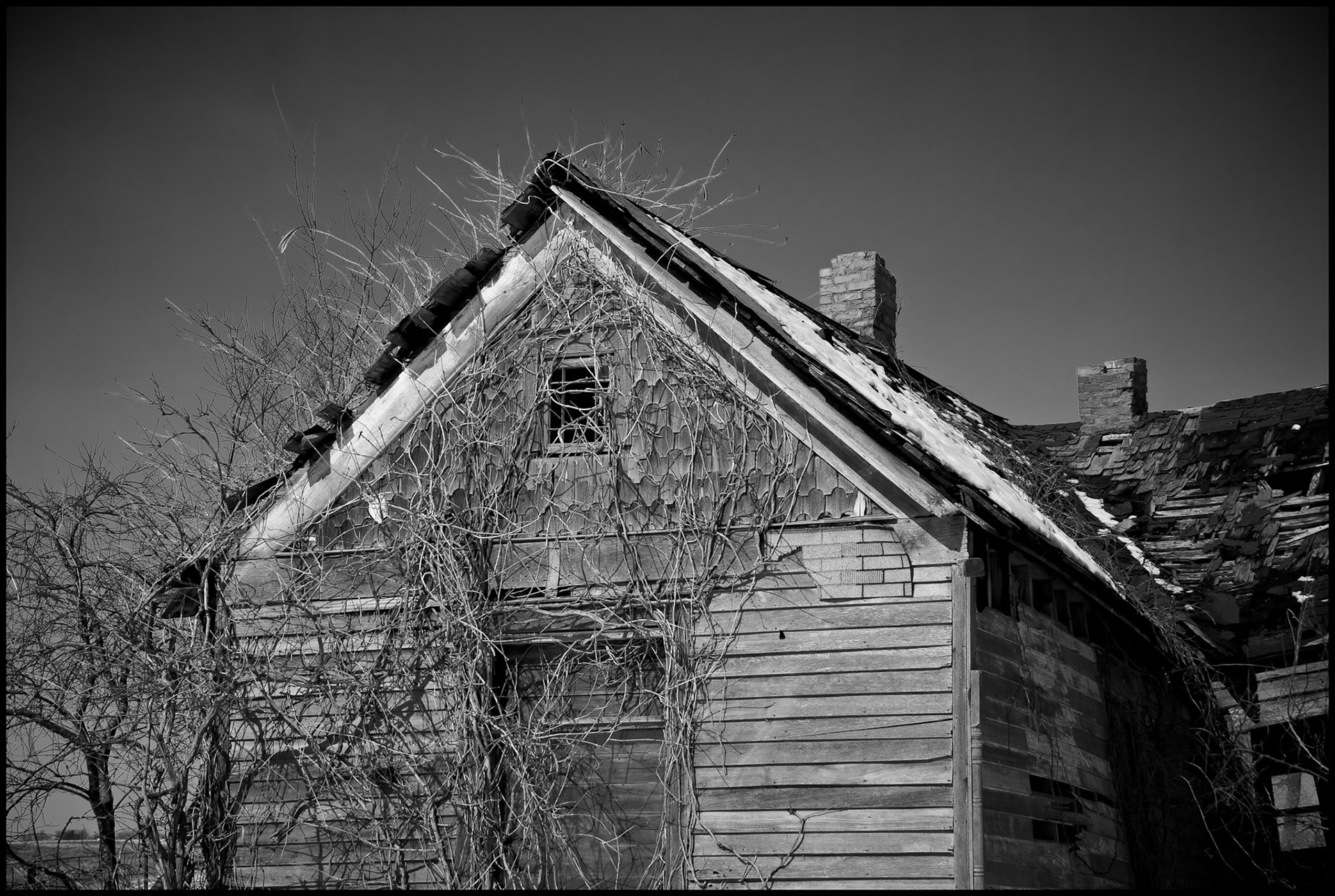 A black-and-white rural Missouri winter landscape detail of a vine covered dilapidated abandoned house partially covered in snow. Near Winigan, Missouri, USA 2008.